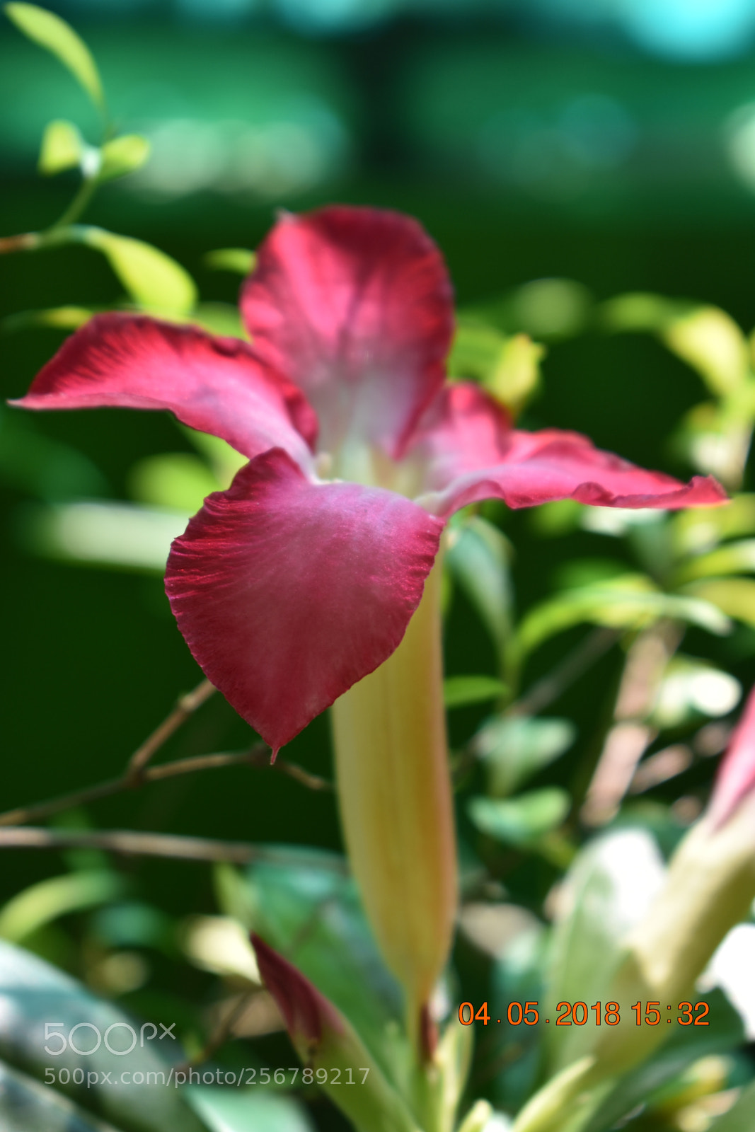 Nikon D3400 sample photo. Untitled photography