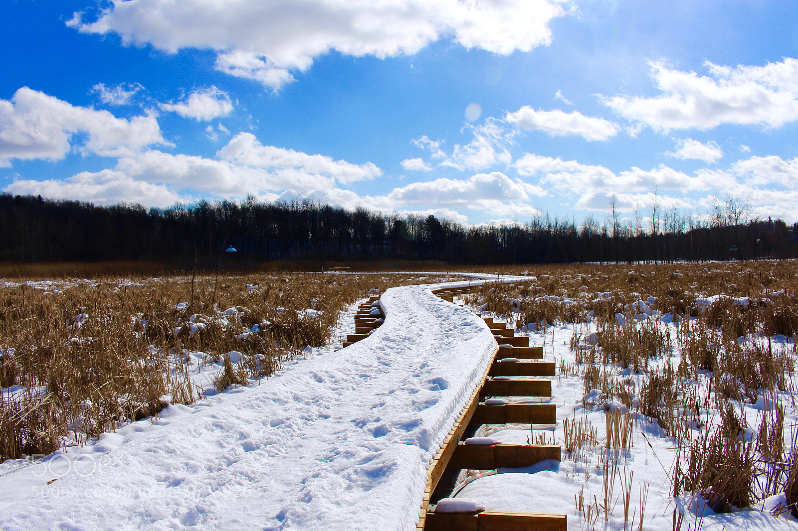 Canon EOS 700D (EOS Rebel T5i / EOS Kiss X7i) sample photo. Snowy walkway photography