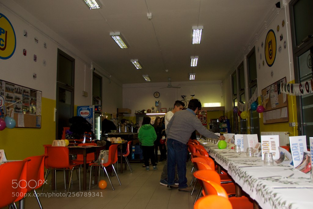 Nikon D60 sample photo. Version photography