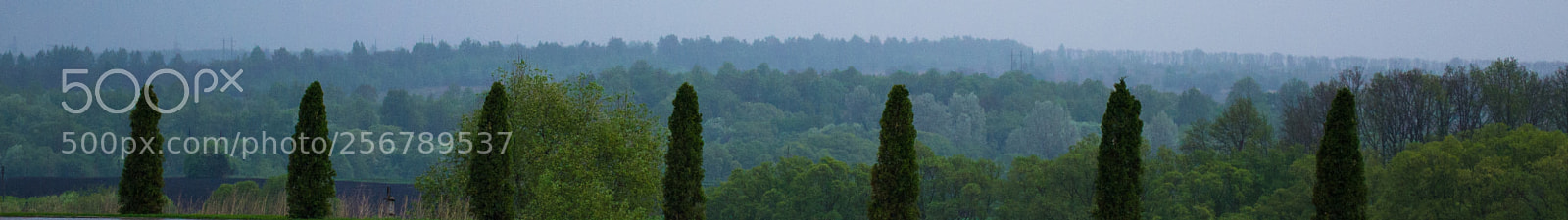 Nikon D3100 sample photo. The central russian upland photography