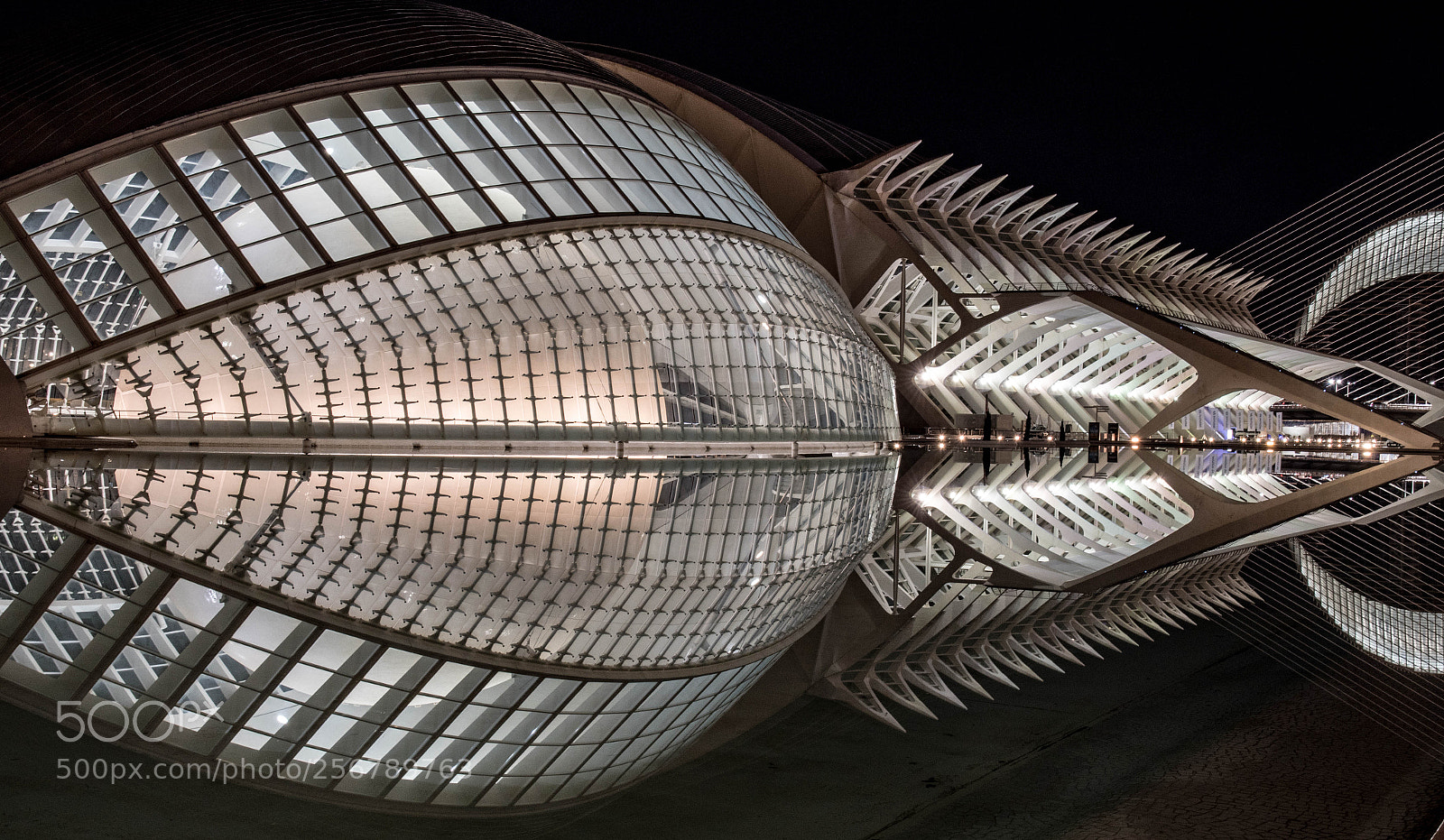 Nikon D500 sample photo. Palace of arts valencia photography