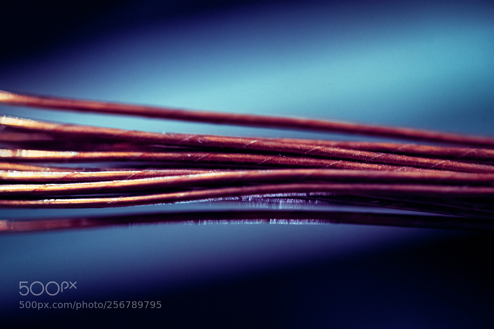 Nikon D750 sample photo. Electricidad - electric power photography