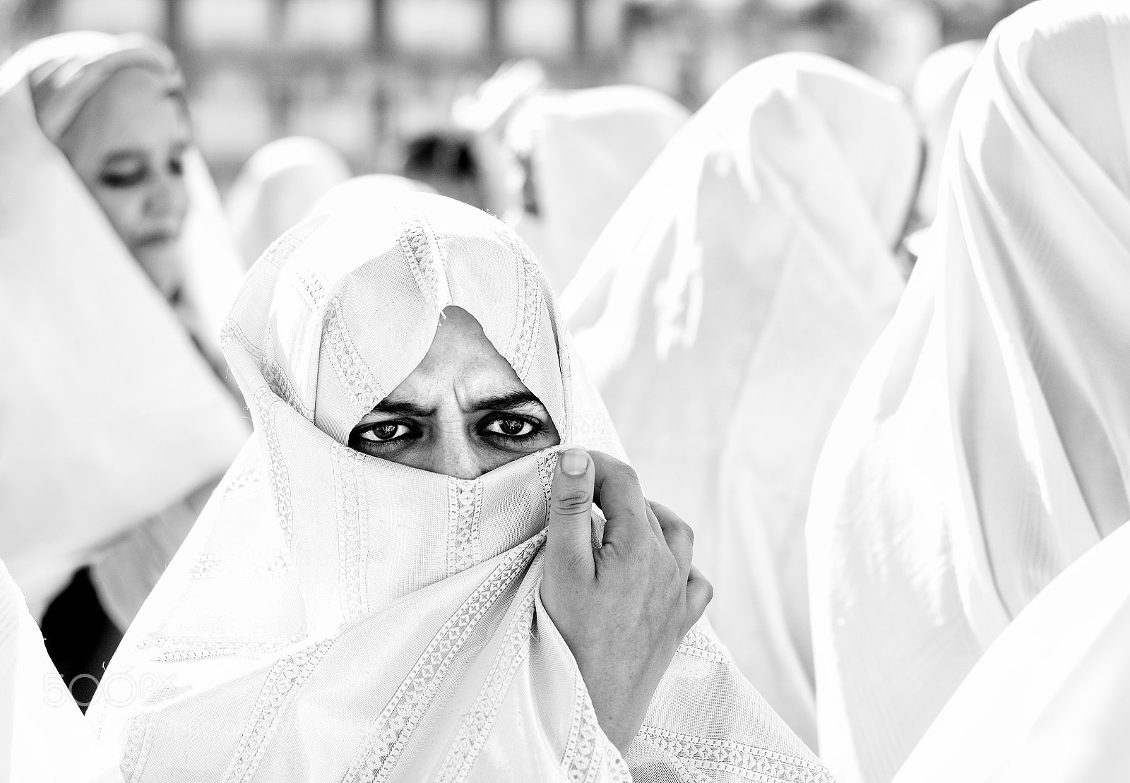 Nikon D3100 sample photo. Sharp eyes photography