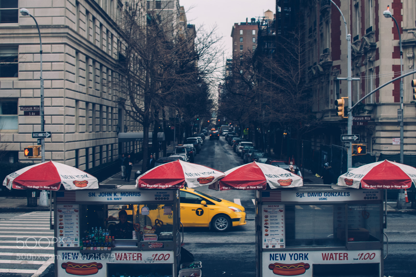 Nikon D810 sample photo. Classically new york photography