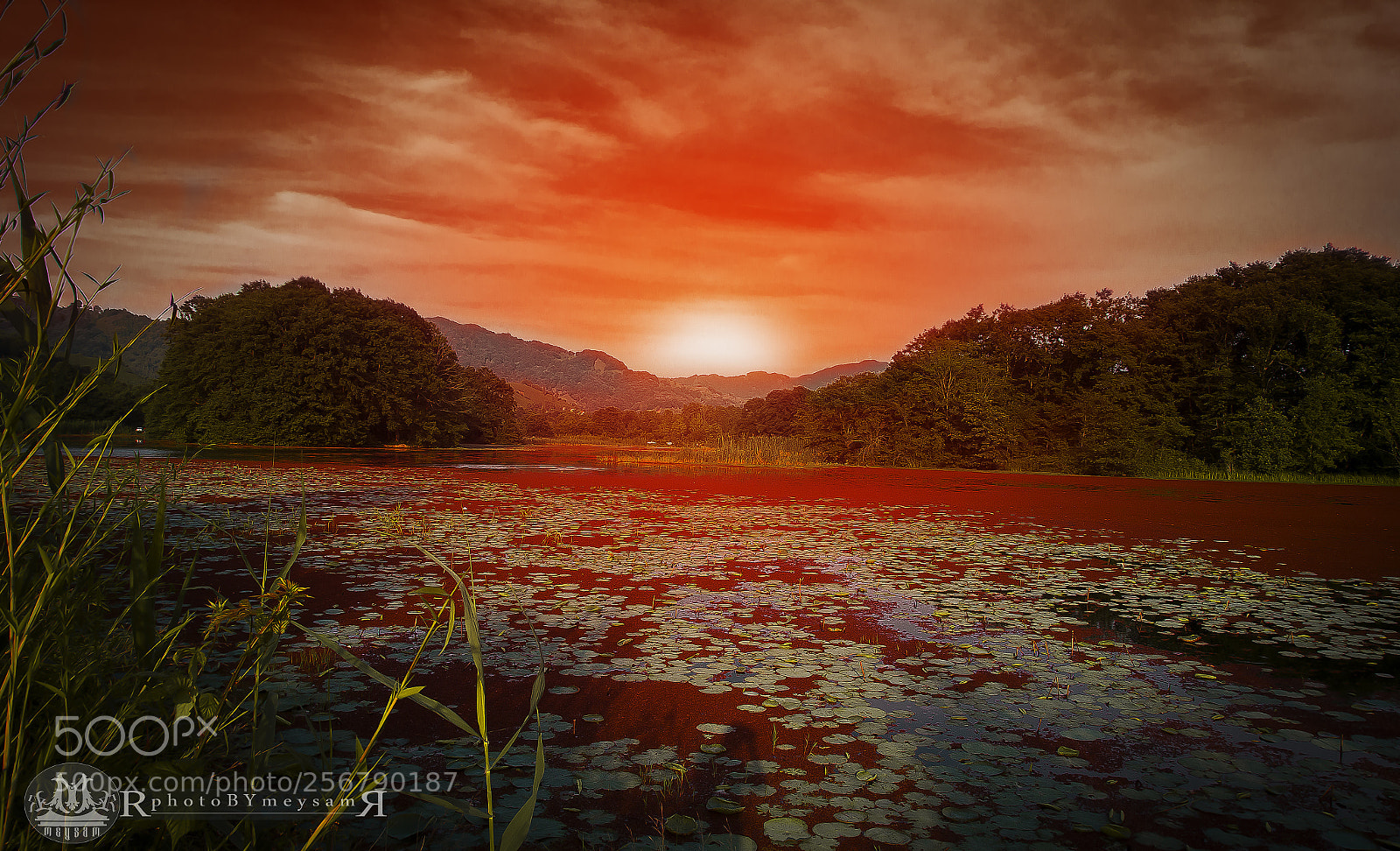 Canon EOS 6D sample photo. 1.jpg photography