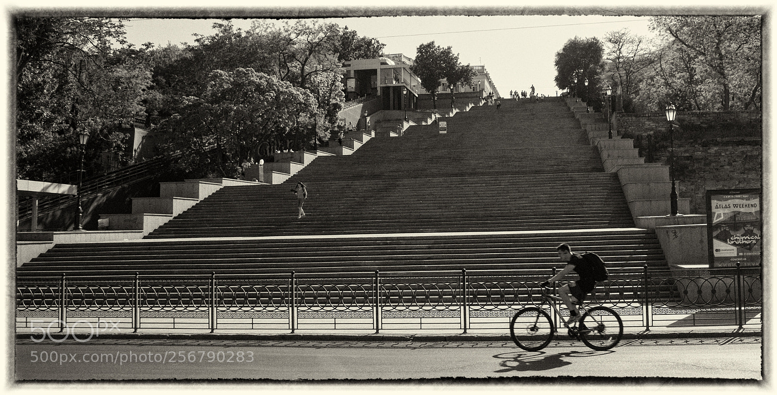 Canon EOS 5D sample photo. Untitled photography