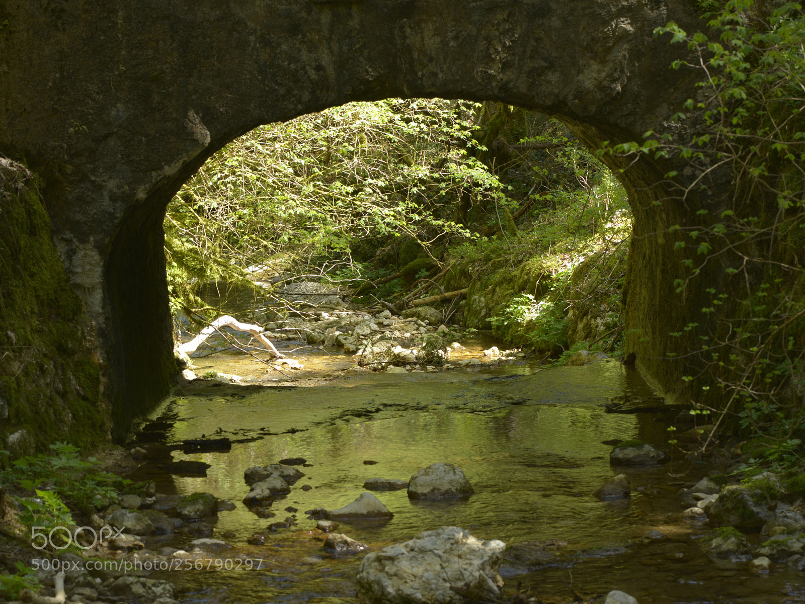Nikon D800 sample photo. Under the bridge photography