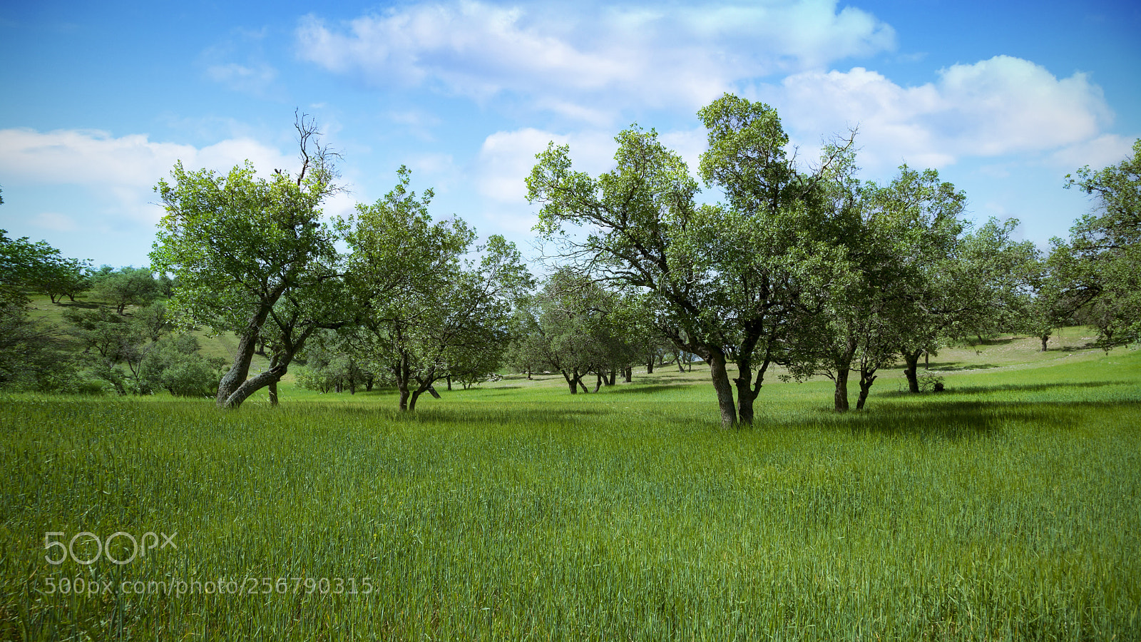 Canon EOS 5D Mark II sample photo. Beautiful zagros photography