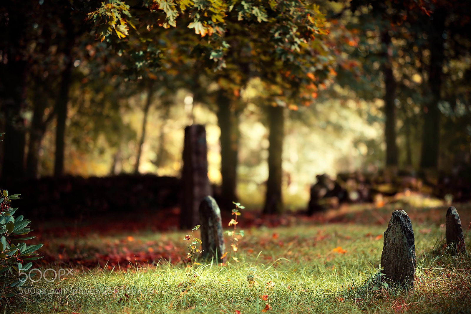 Canon EOS 5DS R sample photo. Unction photography