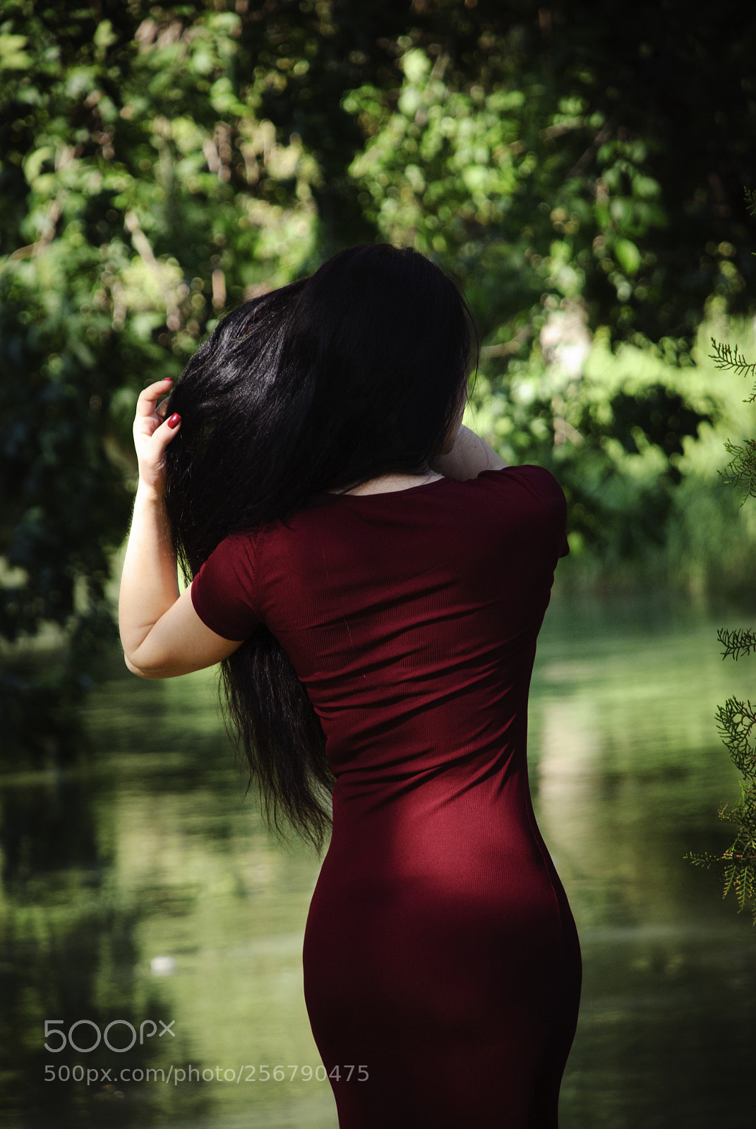 Nikon D80 sample photo. Untitled photography