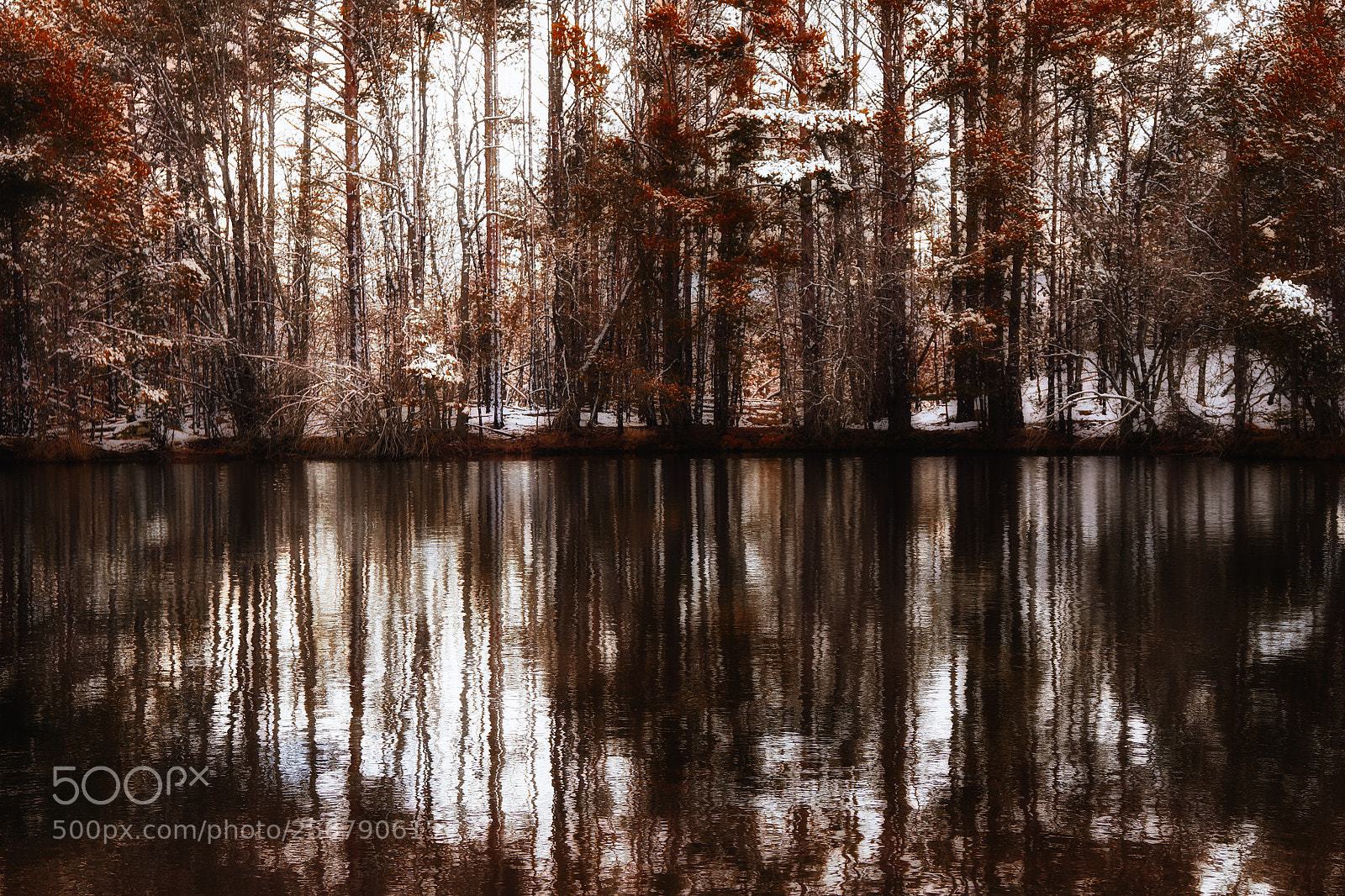 Canon EOS 80D sample photo. Autumn landscape photography