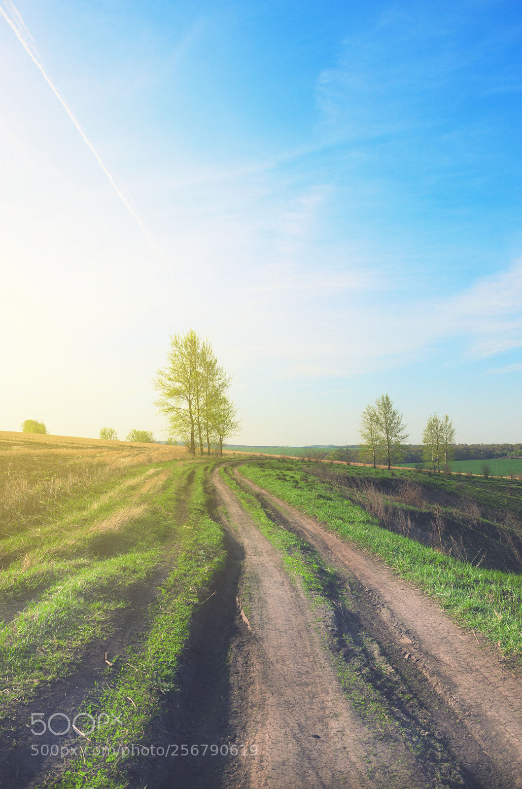 Nikon D5100 sample photo. Sunny morning photography