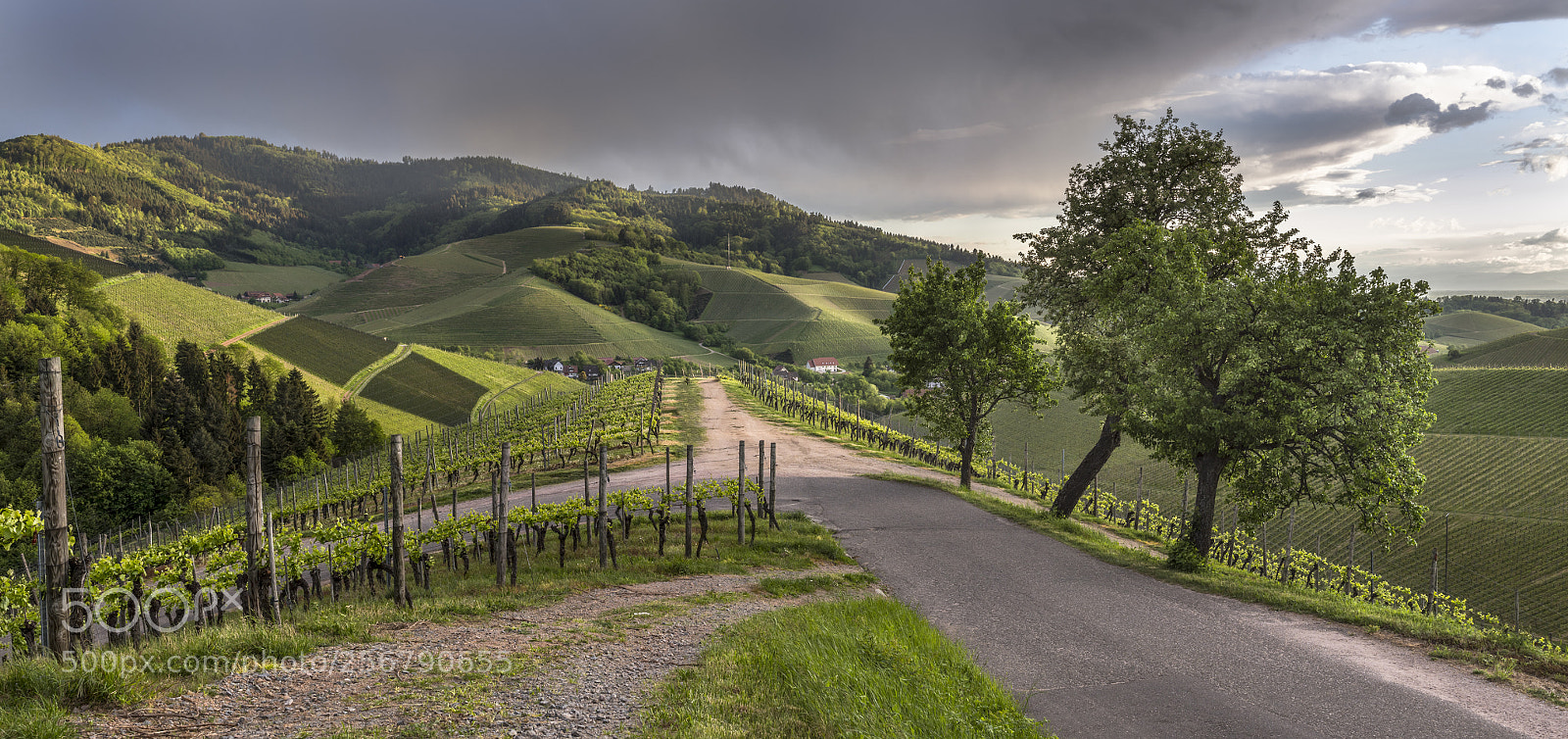 Nikon D500 sample photo. Blick über durbach gebirg photography