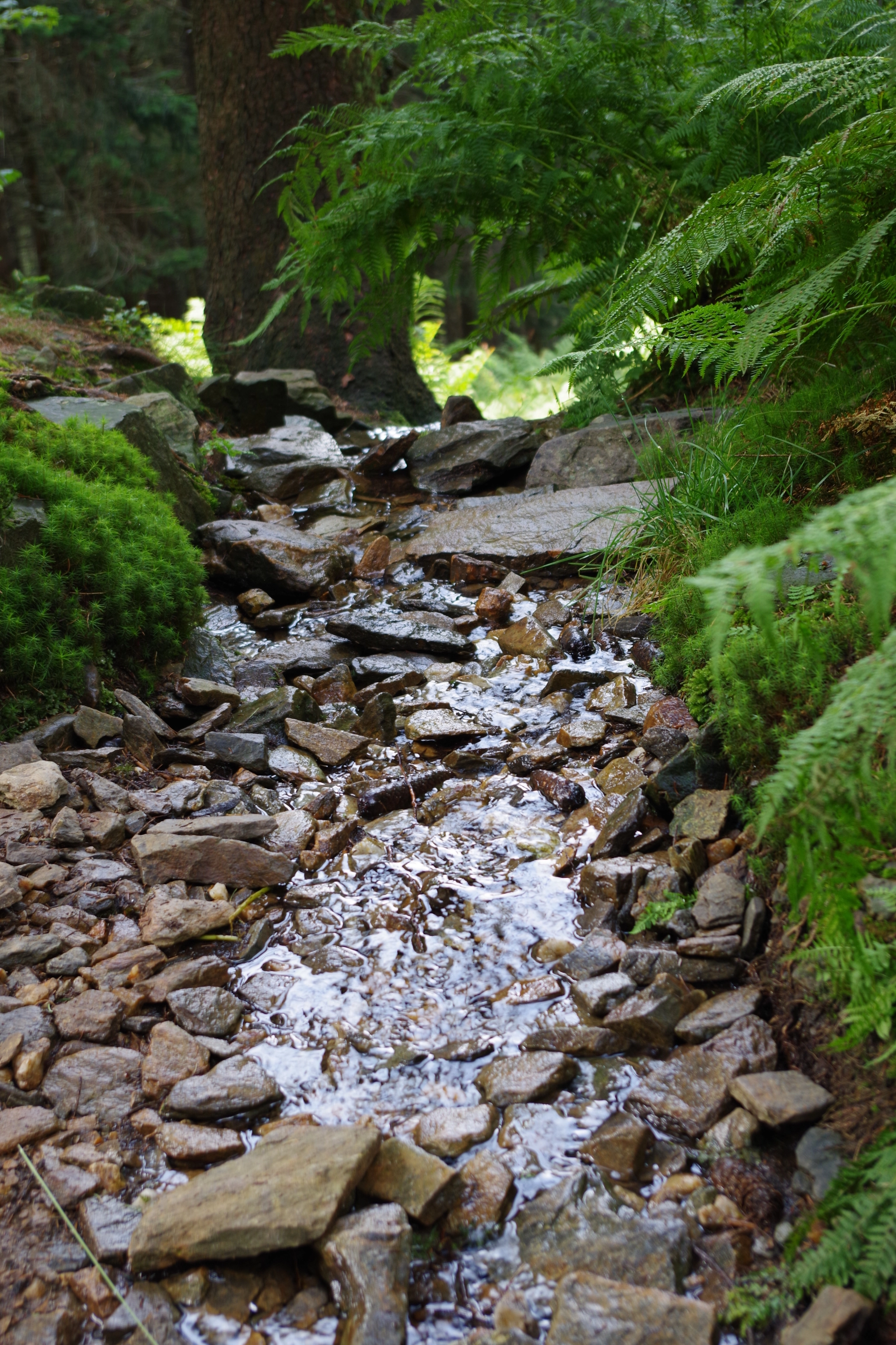 Pentax K-70 sample photo. Little stream photography