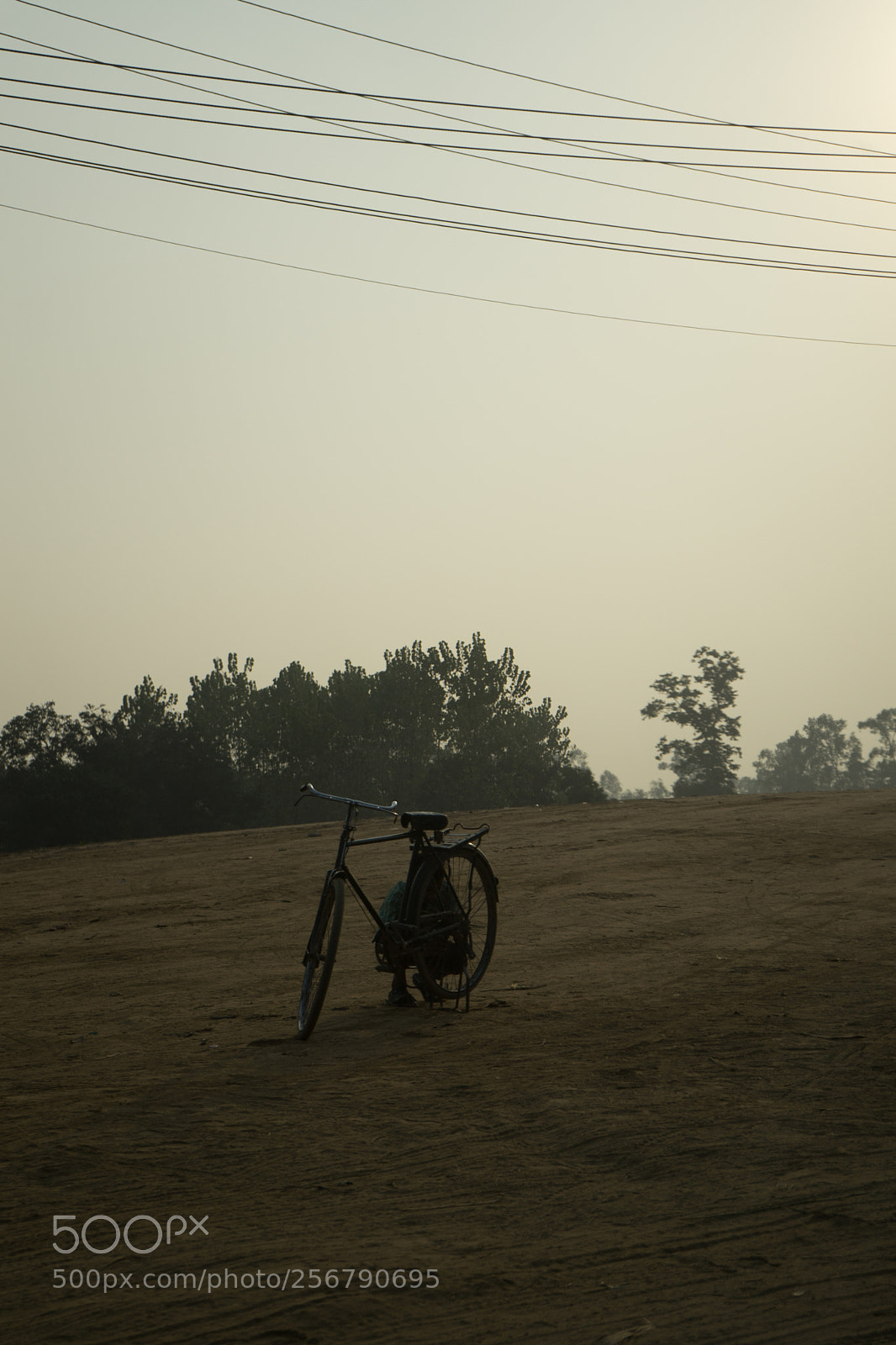 Sony a7 sample photo. Shadows & dust photography