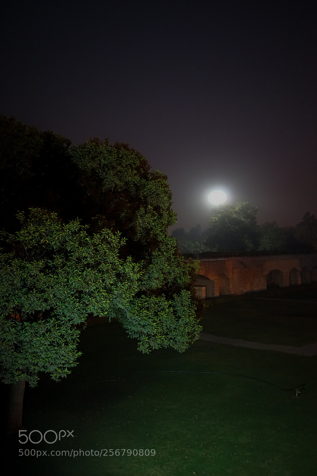 Sony a7 sample photo. Nightlight photography