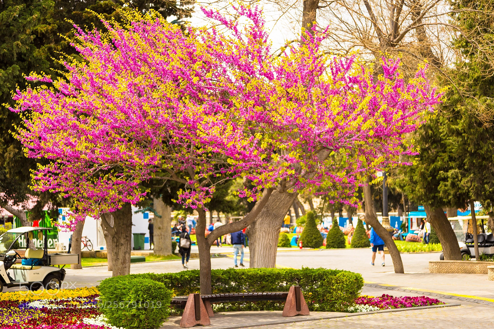 Canon EOS 6D sample photo. New spring photography