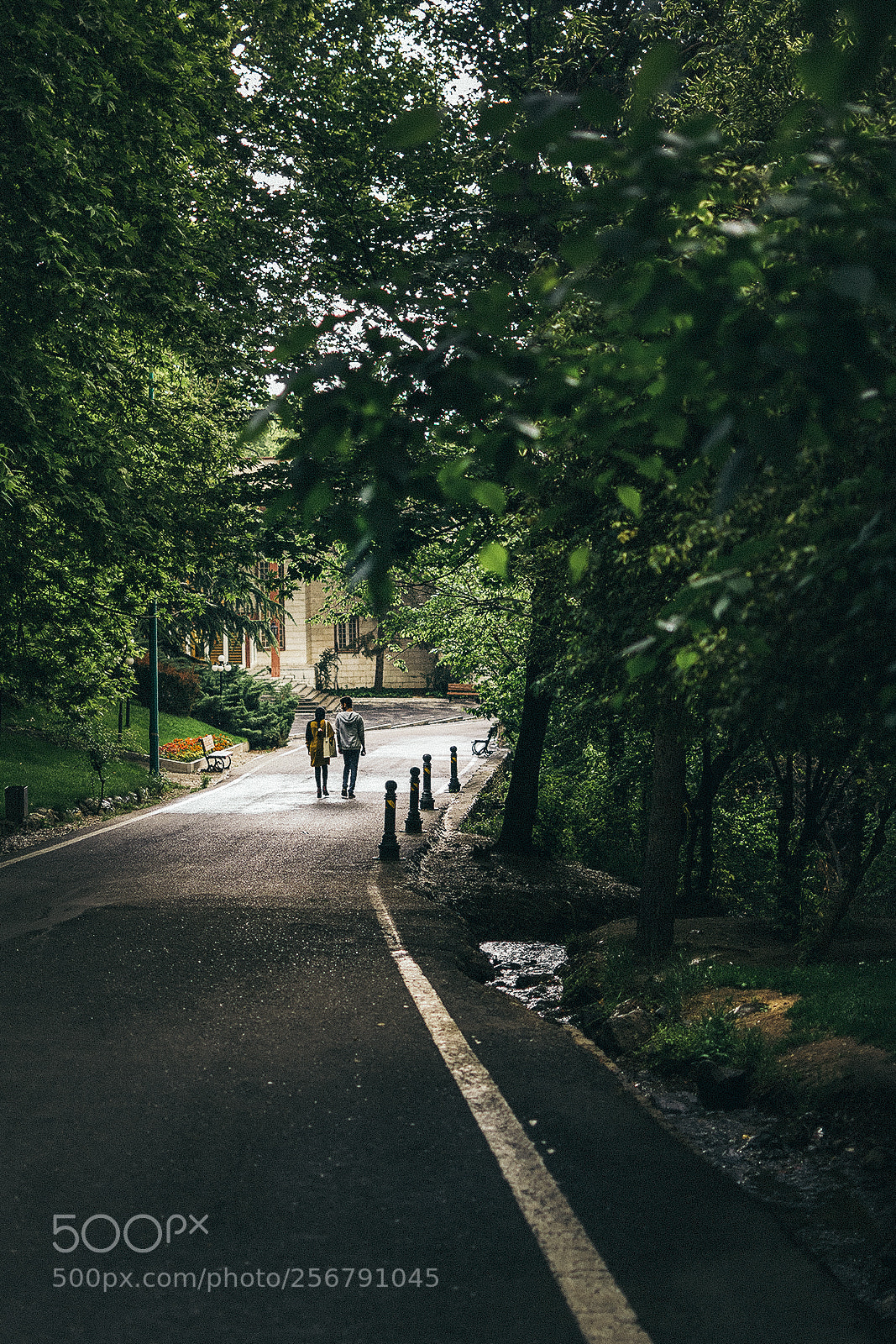 Nikon D7100 sample photo. Walking together photography