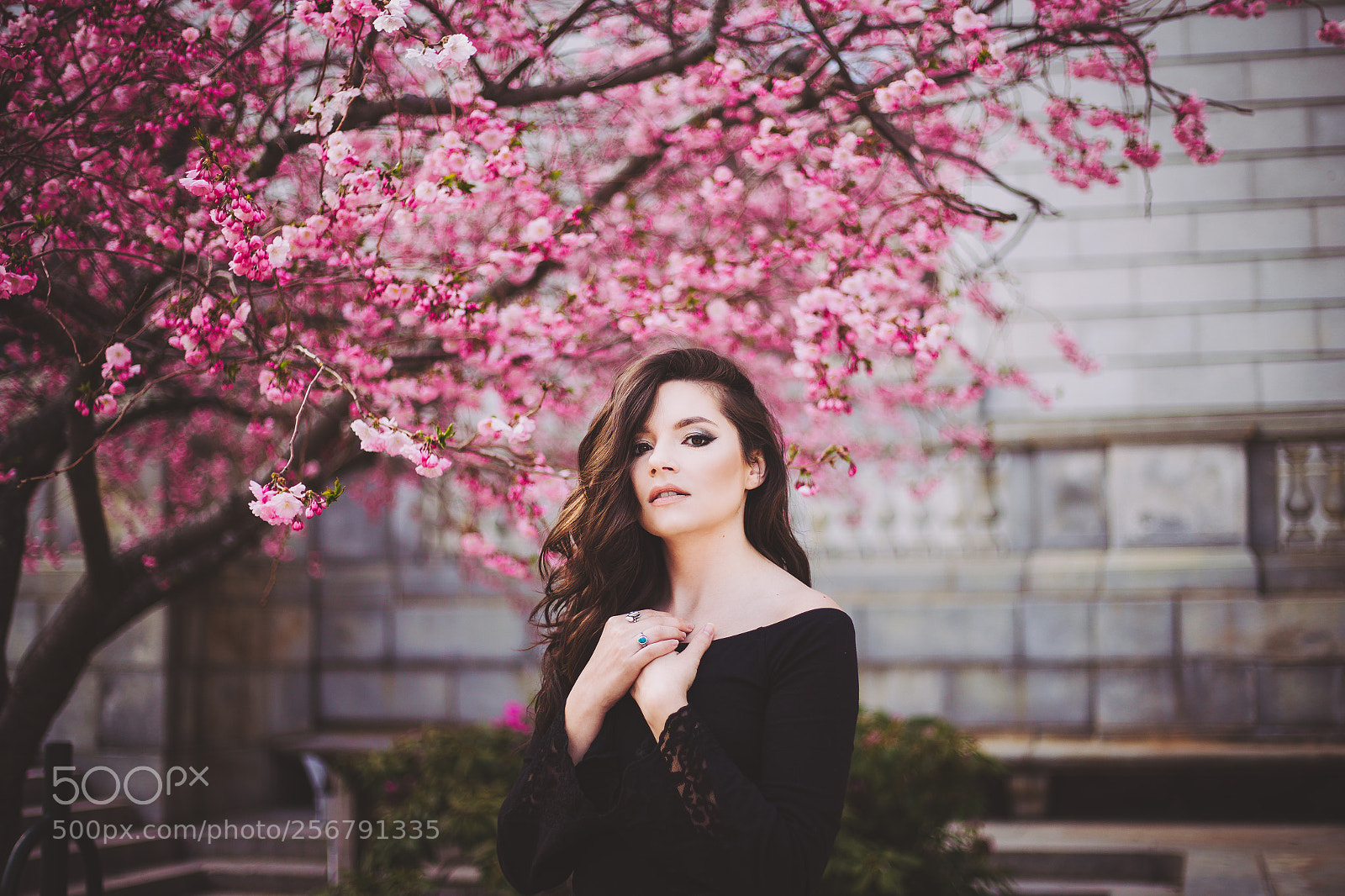 Canon EOS 6D sample photo. Untitled photography