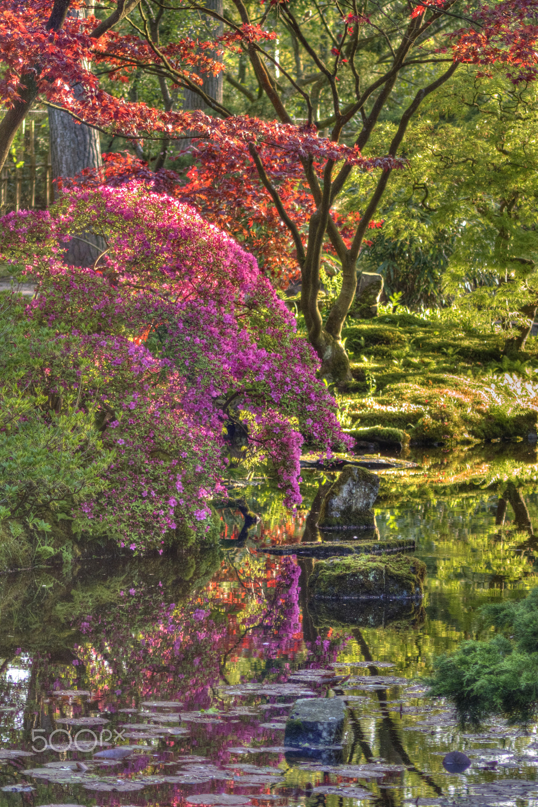 Nikon 1 J1 sample photo. Japanese garden photography