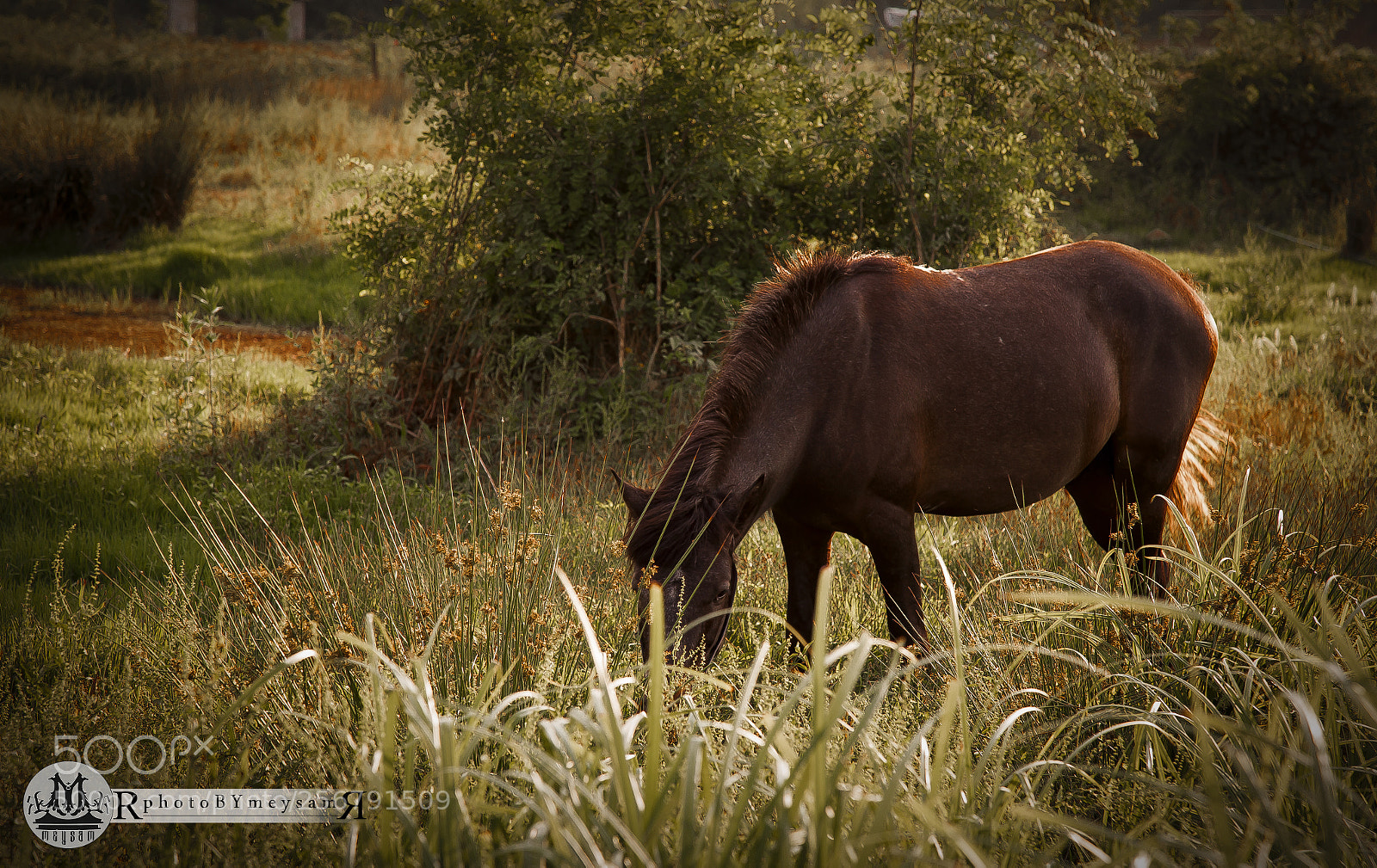 Canon EOS 6D sample photo. 6.jpg photography