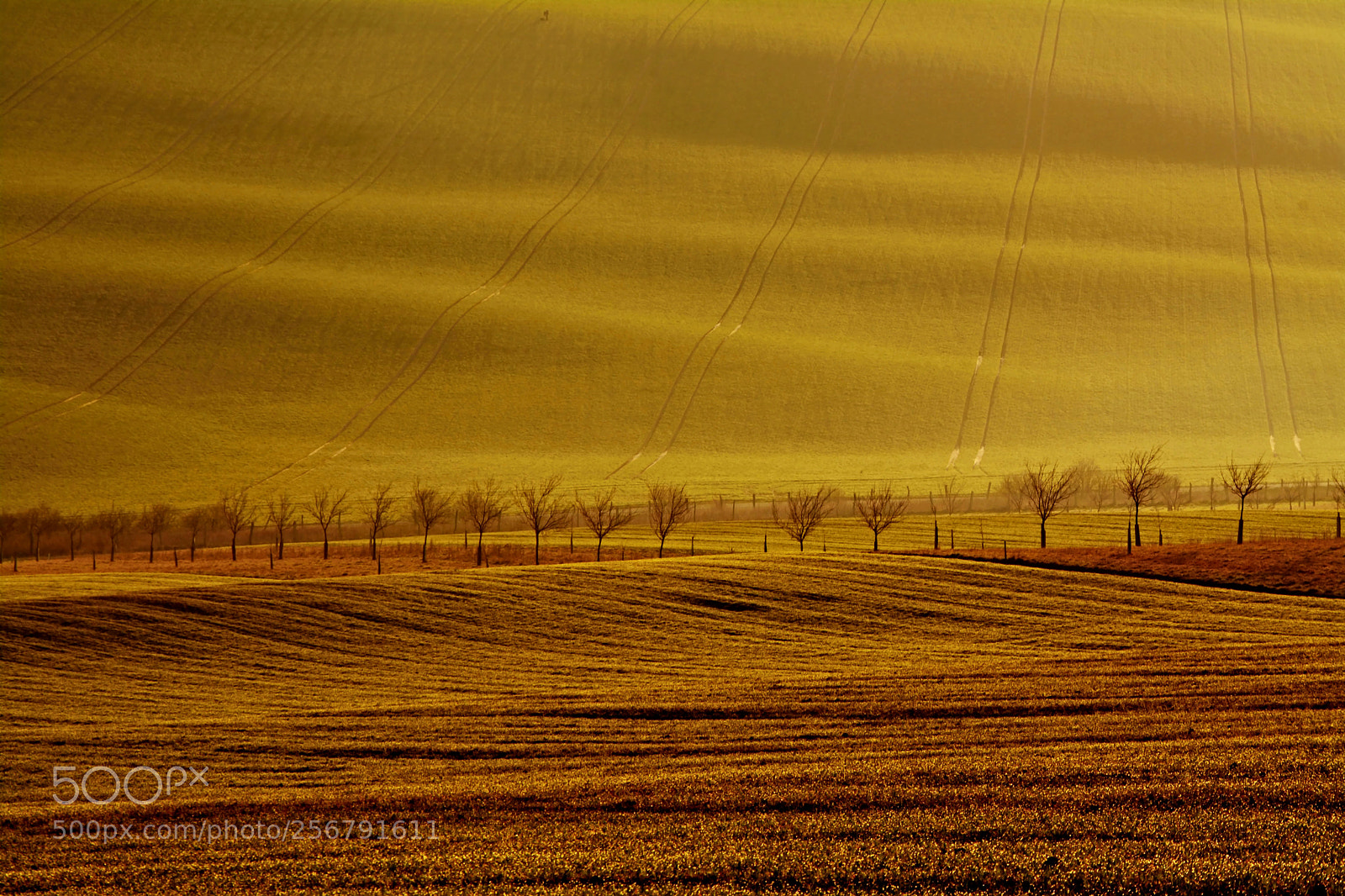 Nikon D7100 sample photo. Moravia morning photography