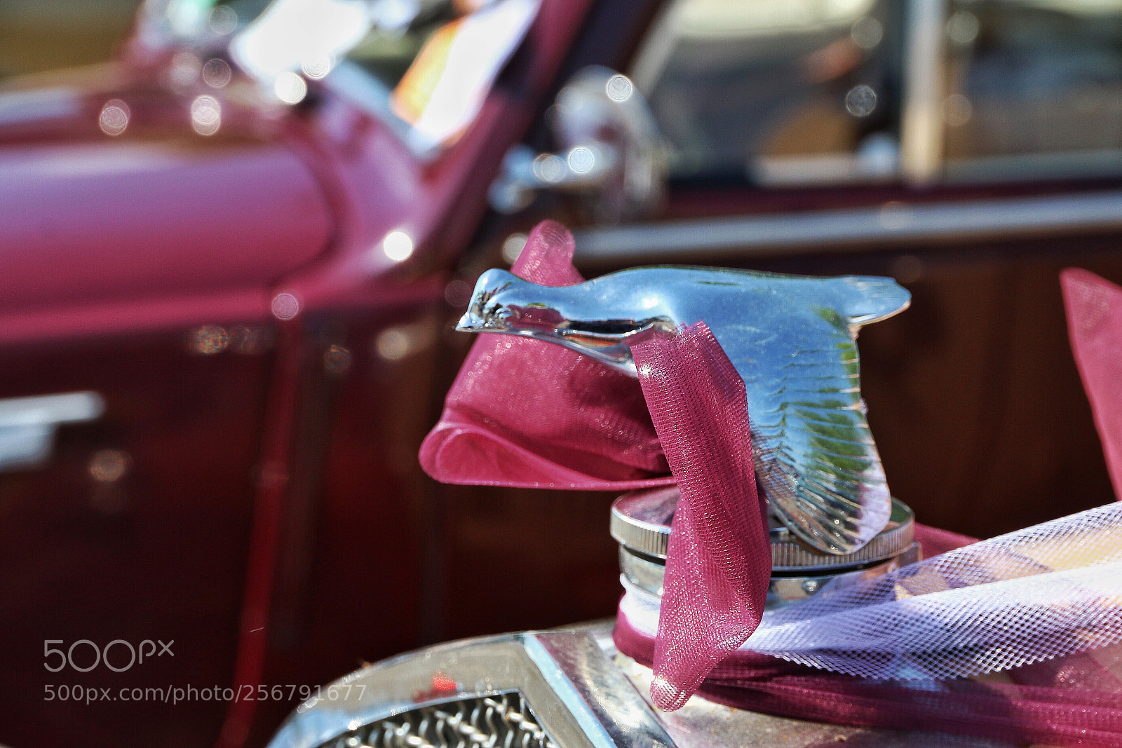 Canon EOS 70D sample photo. Untitled photography