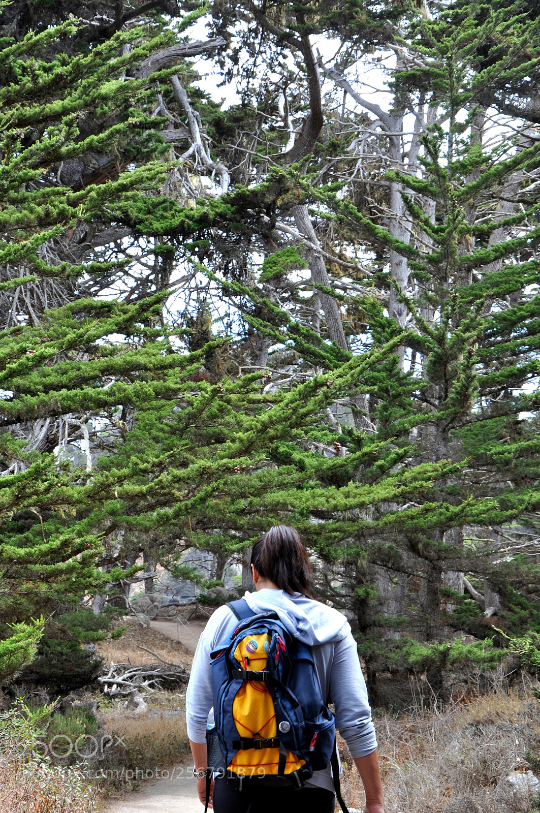 Nikon D90 sample photo. Don't give up photography
