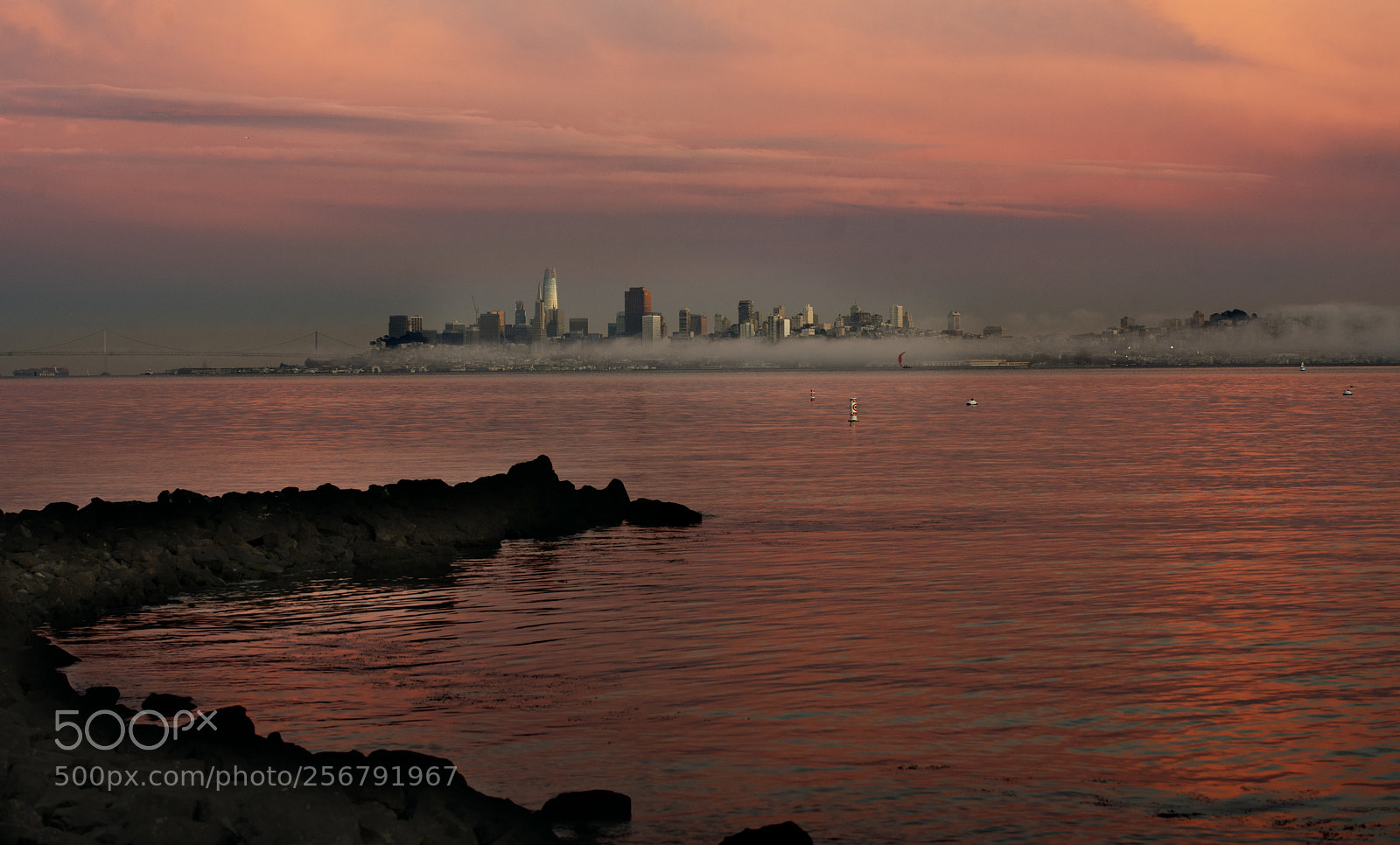 Nikon D750 sample photo. Sf skyline photography