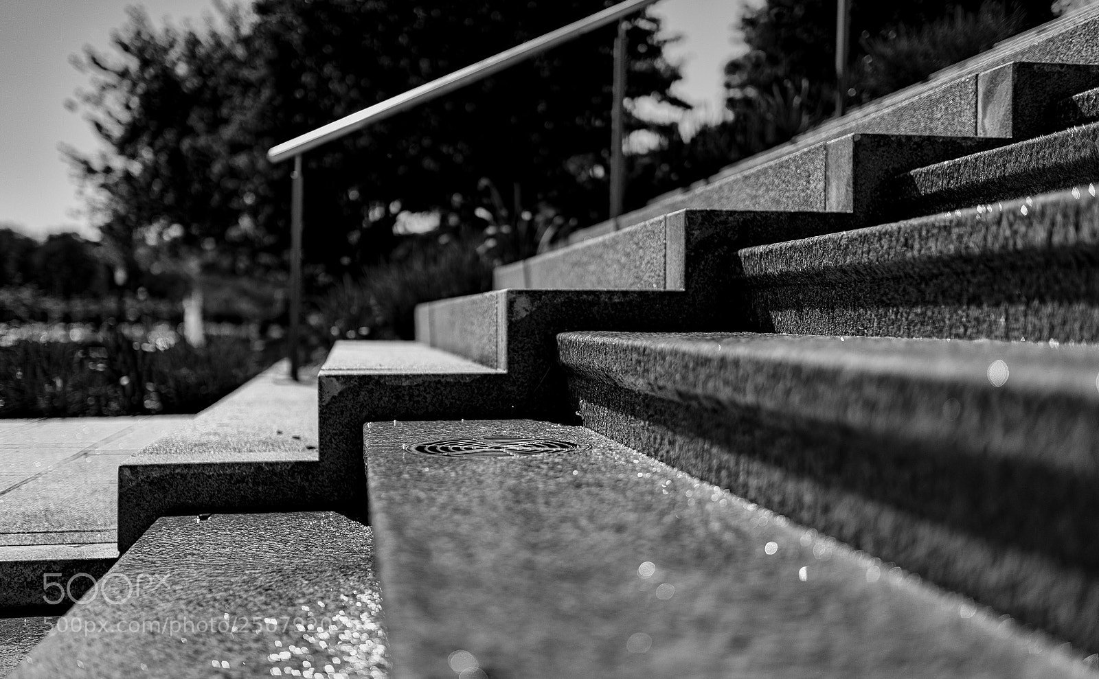 Nikon D810 sample photo. Steps photography