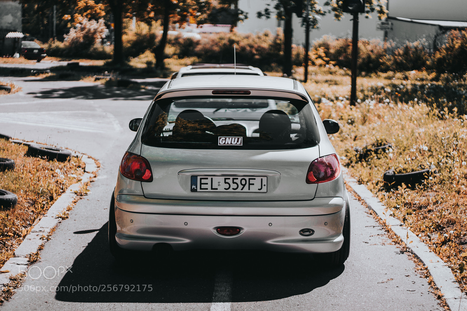 Sony a6300 sample photo. French form photography