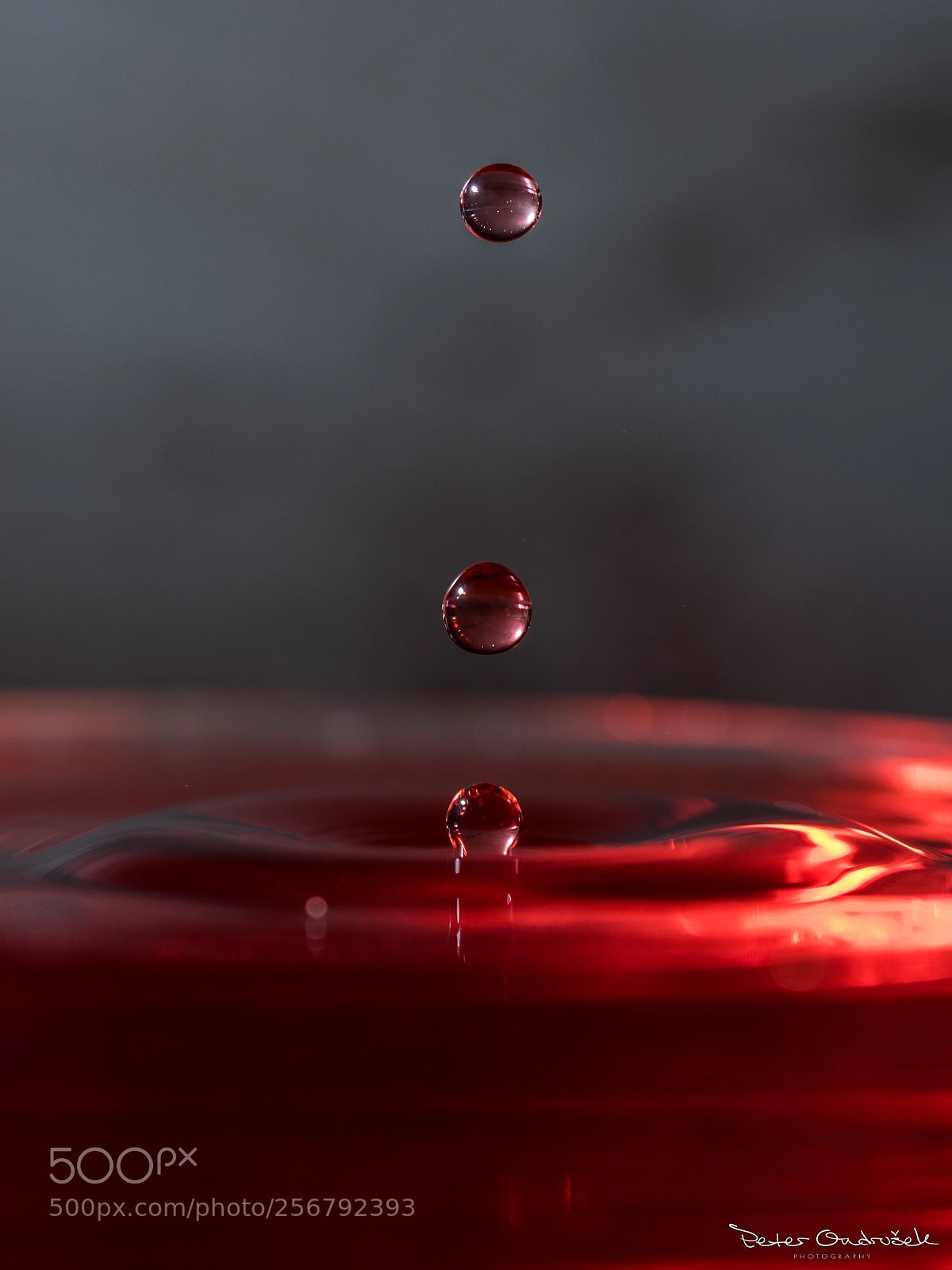 Nikon D850 sample photo. Water drop photography