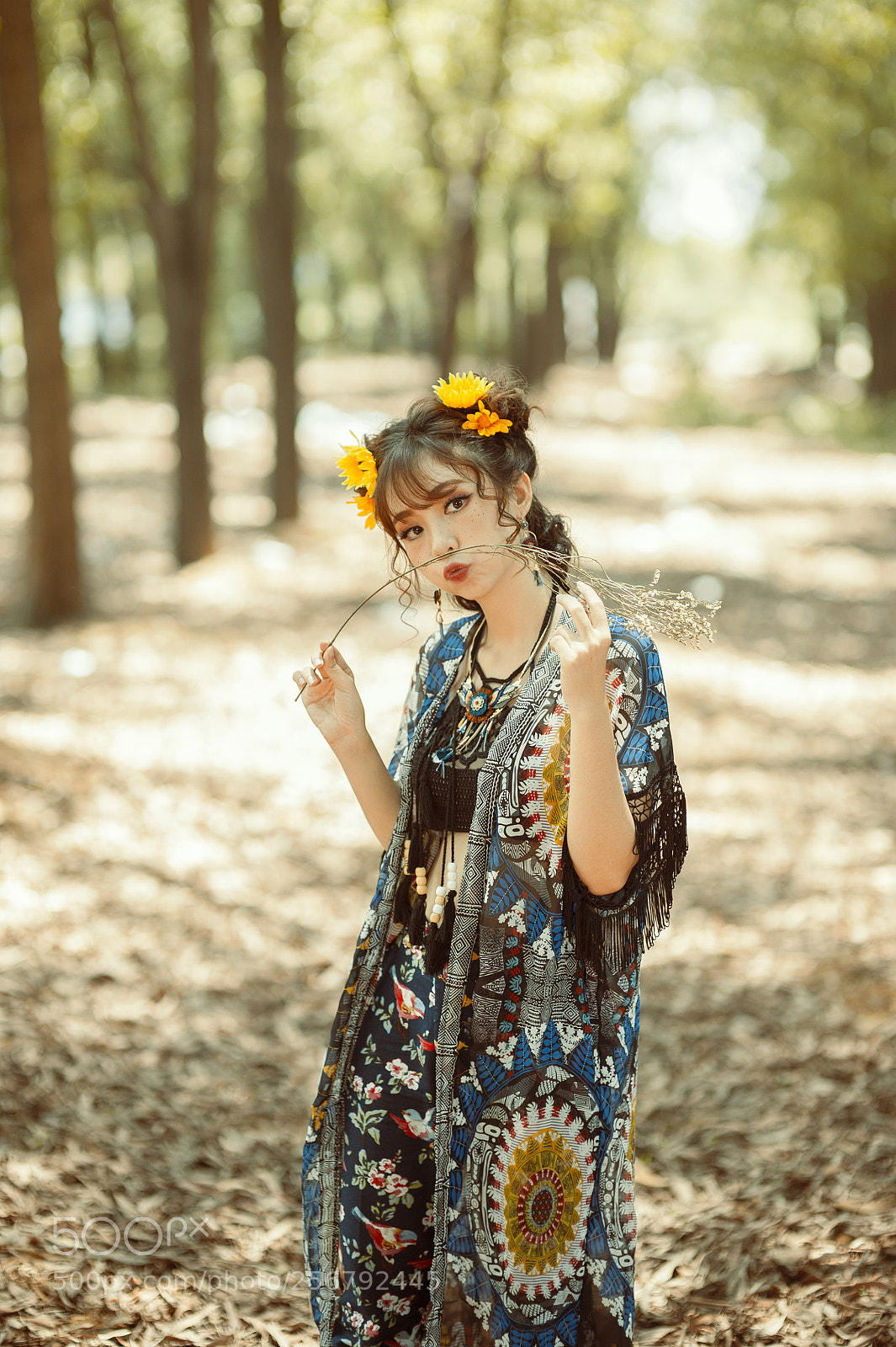 Nikon D700 sample photo. Ngo hai ha photography