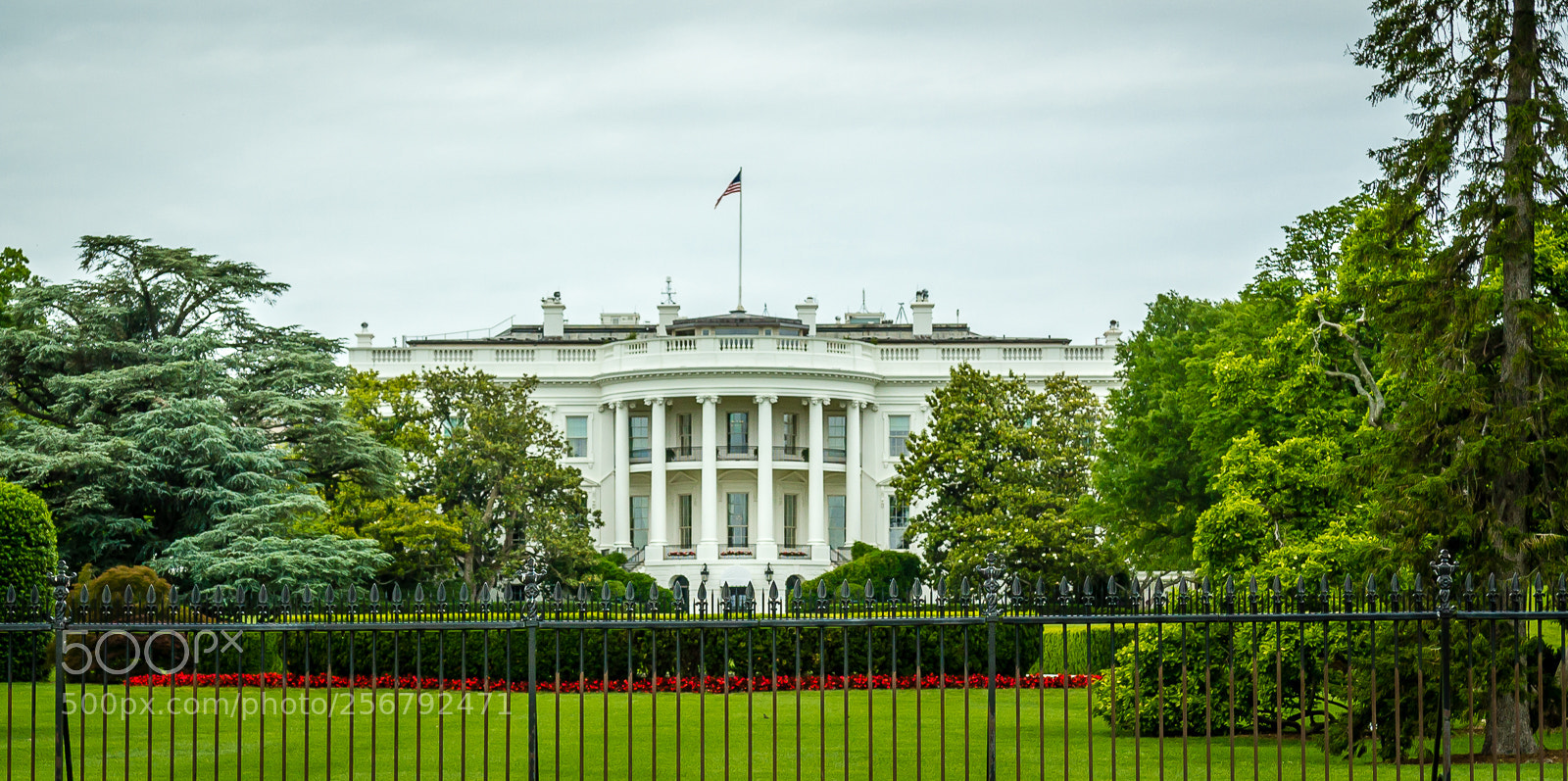 Canon EOS 550D (EOS Rebel T2i / EOS Kiss X4) sample photo. The white house photography