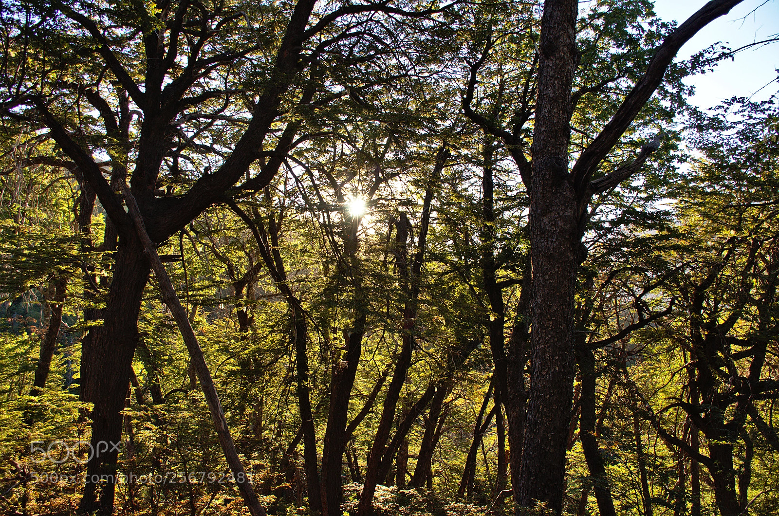 Nikon D7000 sample photo. Los antiguos photography