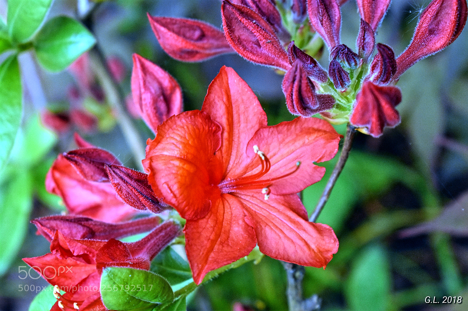 Nikon D3400 sample photo. Untitled photography