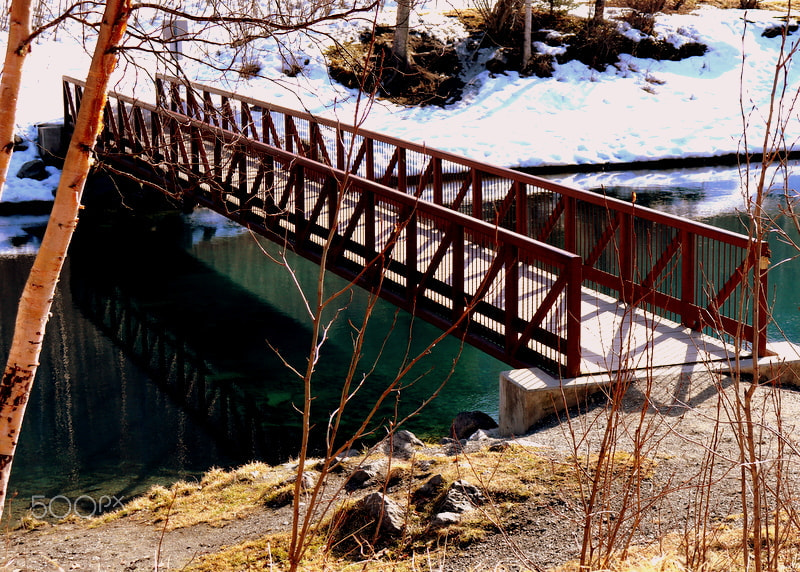 Canon EOS 200D (EOS Rebel SL2 / EOS Kiss X9) sample photo. Bridge connecting winter to spring photography