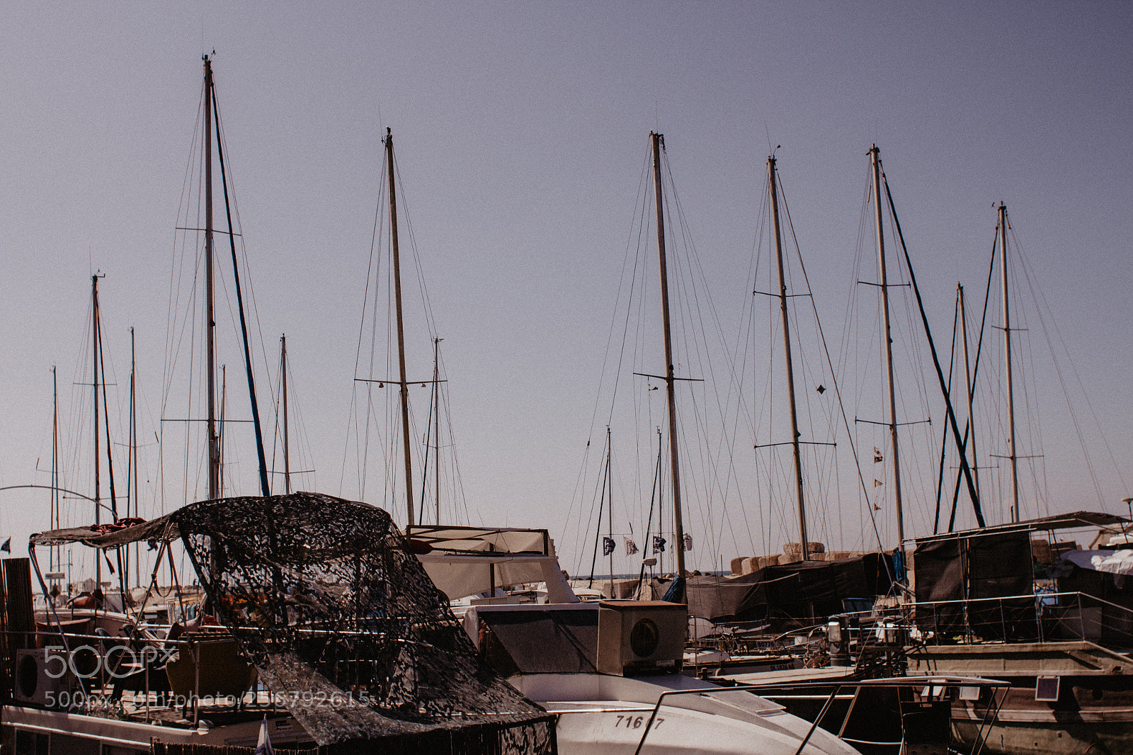 Canon EOS 700D (EOS Rebel T5i / EOS Kiss X7i) sample photo. Mg photography