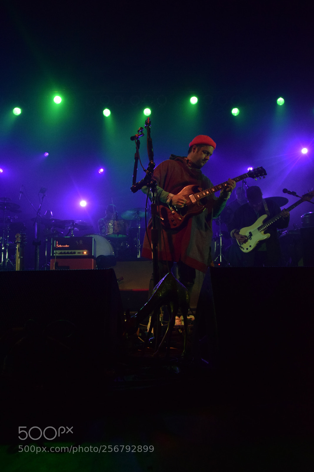 Nikon D3300 sample photo. Modest mouse photography