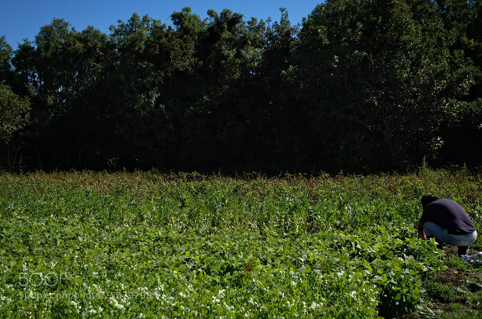 Nikon D7000 sample photo. Puralaco photography