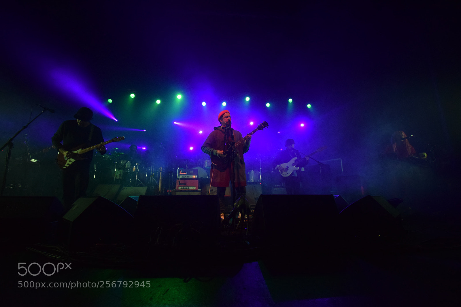 Nikon D3300 sample photo. Modest mouse photography