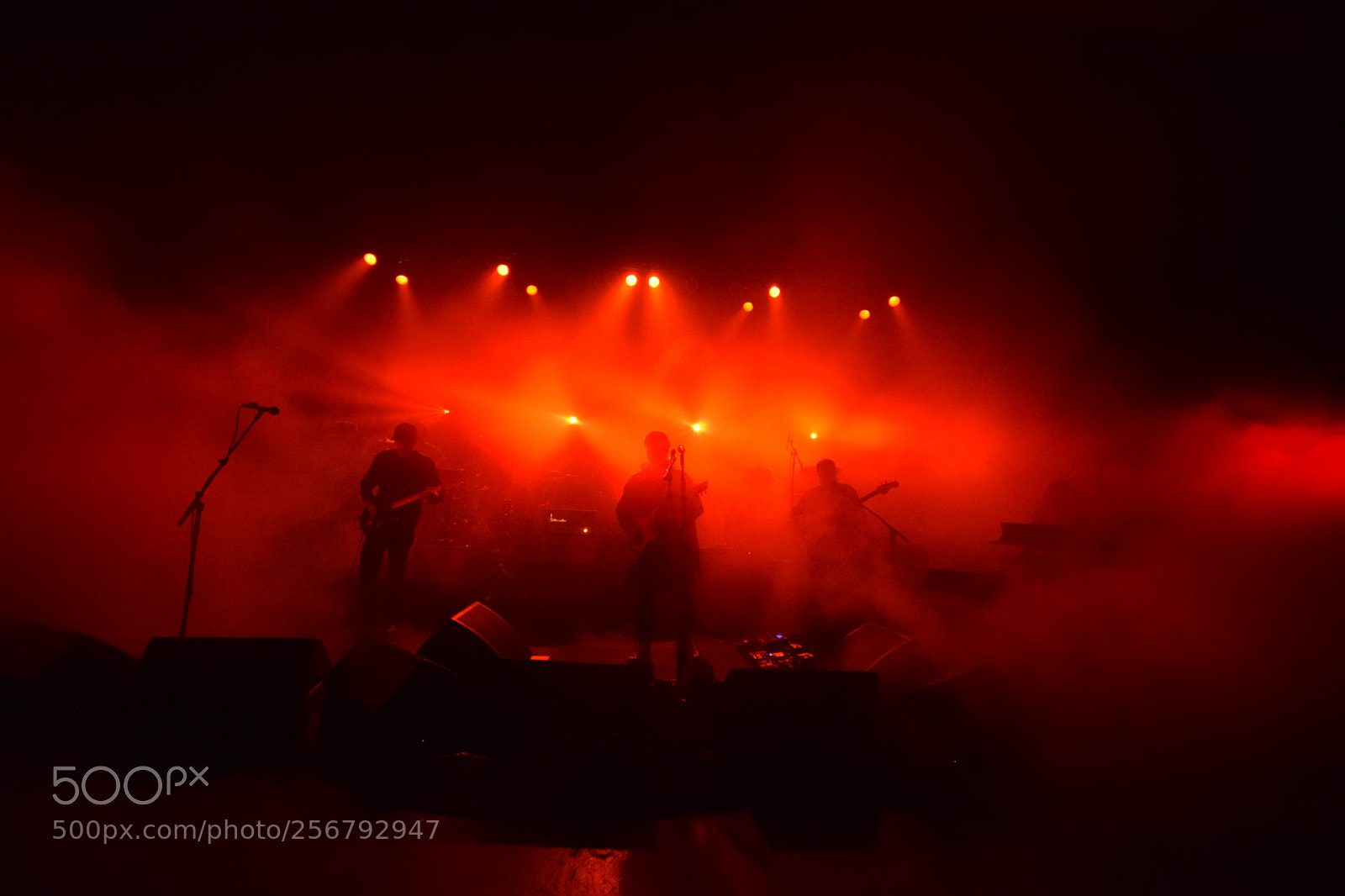 Nikon D3300 sample photo. Modest mouse photography