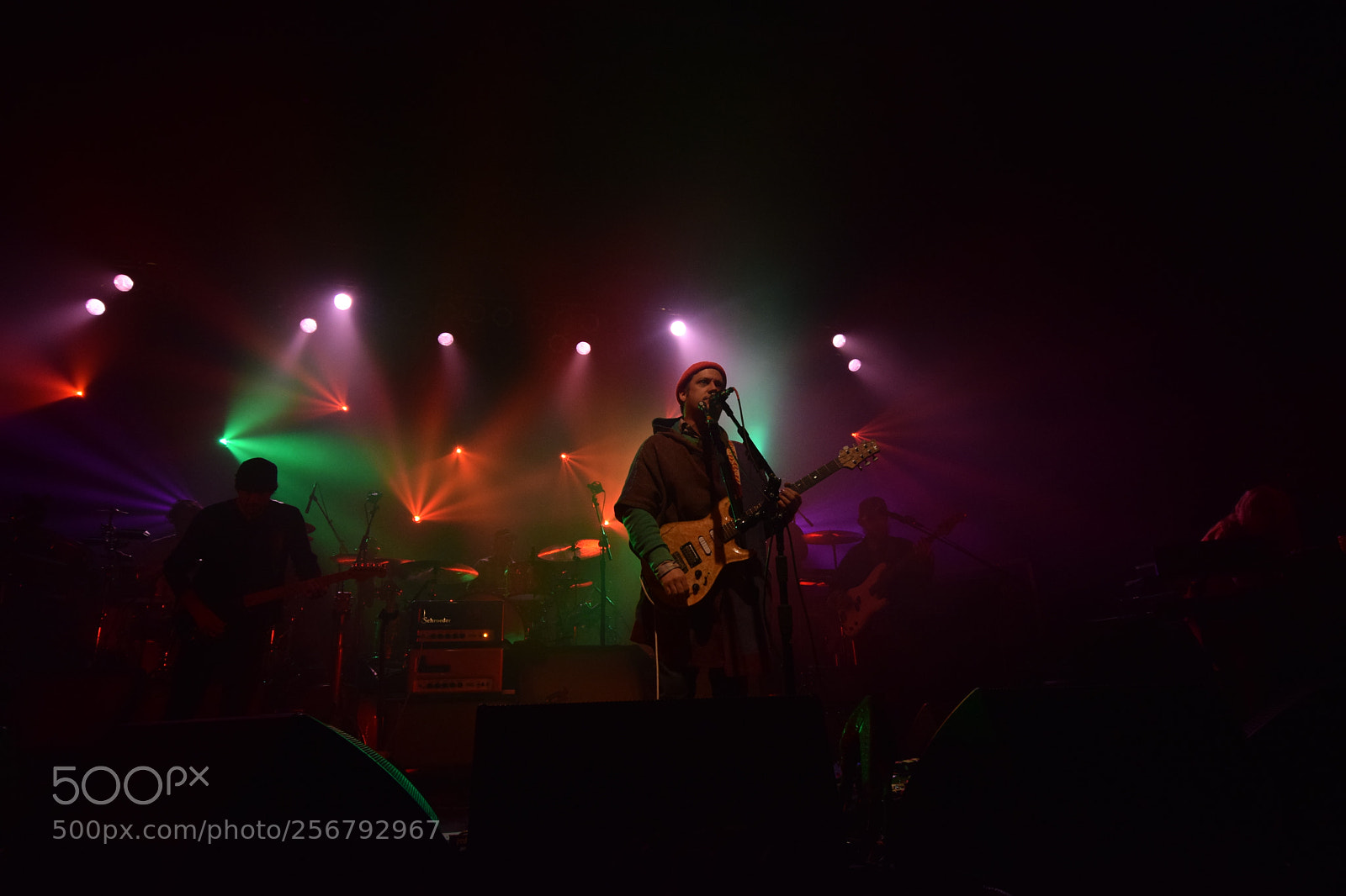Nikon D3300 sample photo. Modest mouse photography