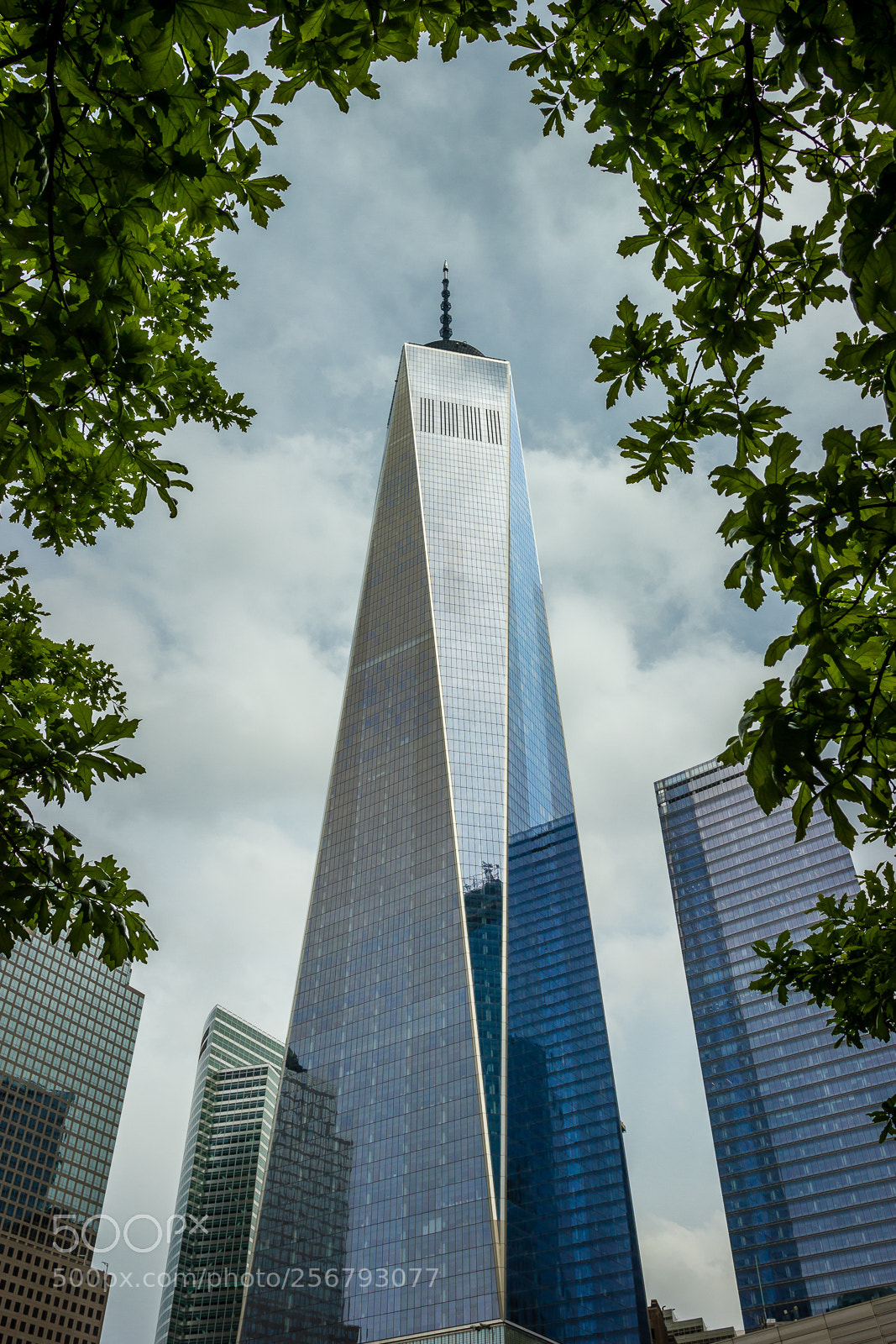 Canon EOS 550D (EOS Rebel T2i / EOS Kiss X4) sample photo. One world trade center photography