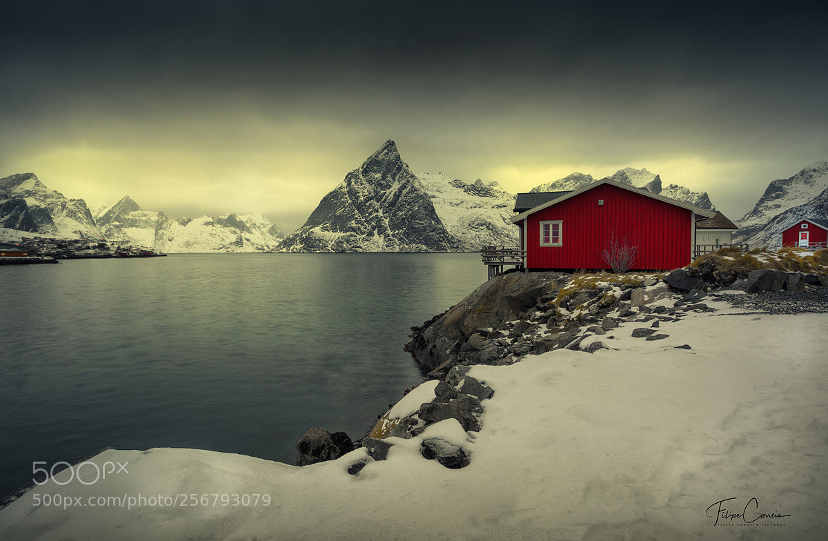 Canon EOS 6D sample photo. Winter mood photography