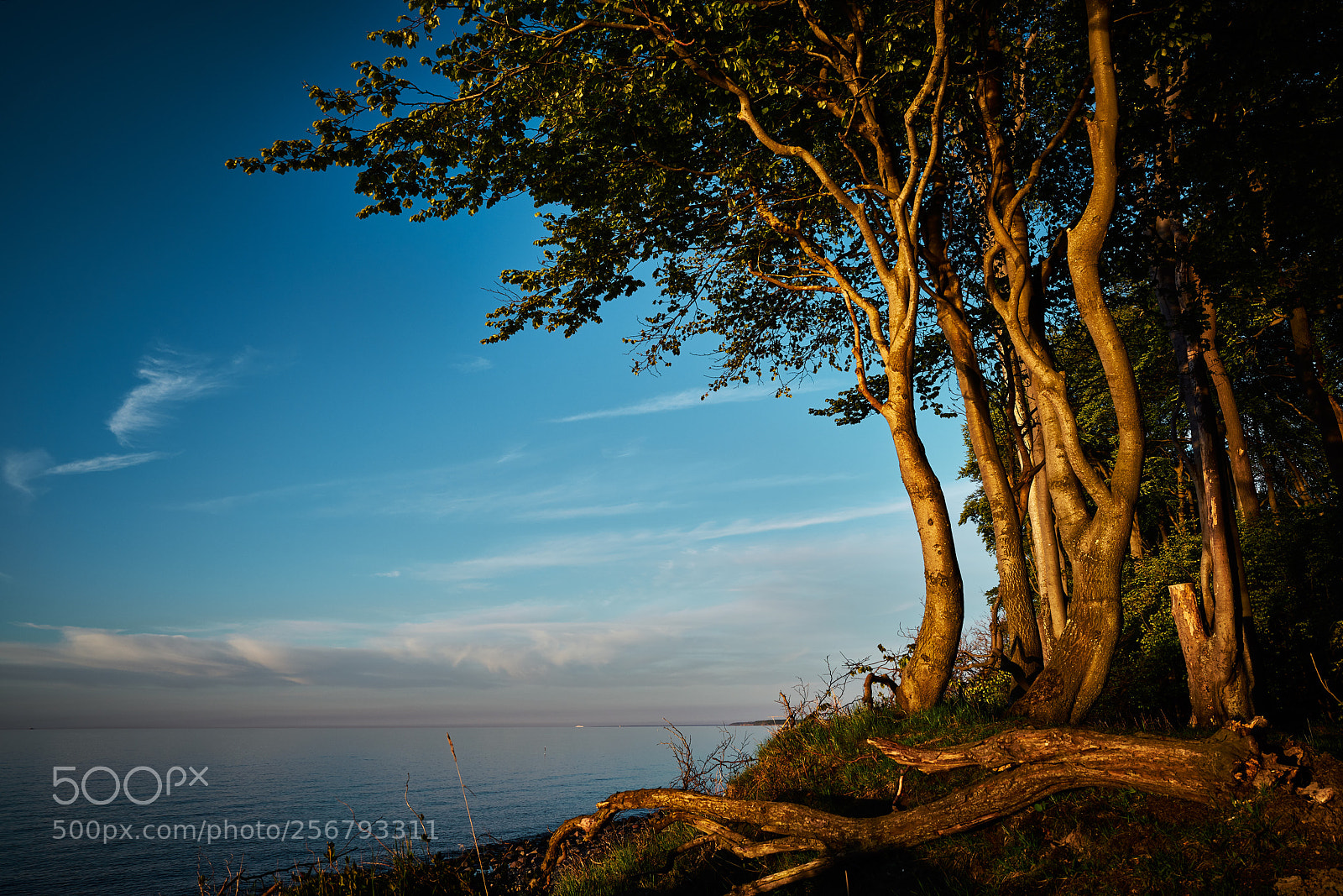 Sony a7R II sample photo. Heiligendamm photography