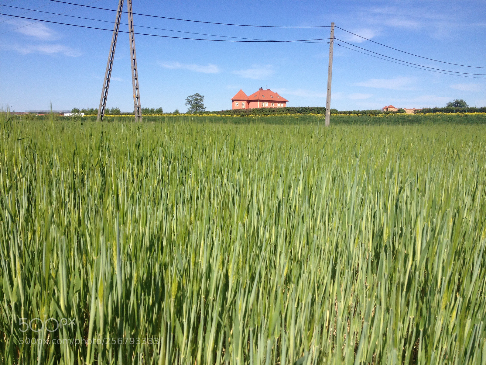 Apple iPhone 4S sample photo. Debica poland  photography