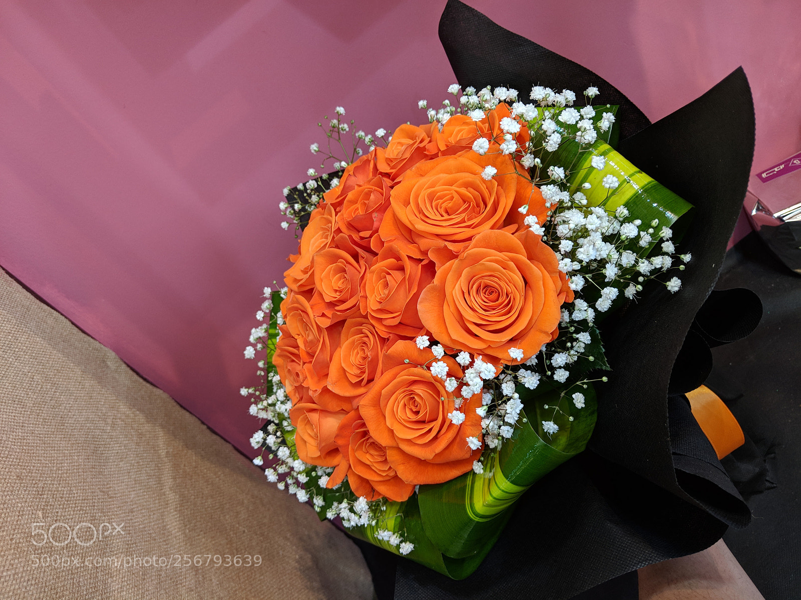 Google Pixel 2 XL sample photo. Best rose photography