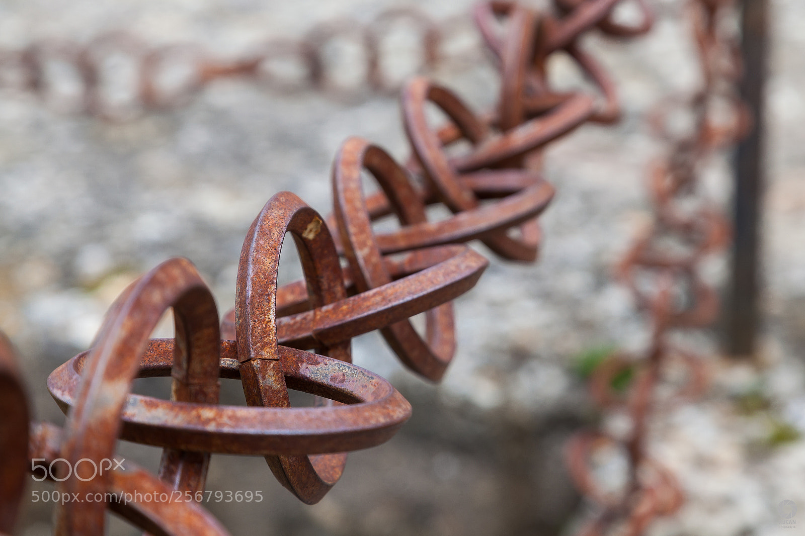 Canon EOS 5D Mark II sample photo. Cadenas photography