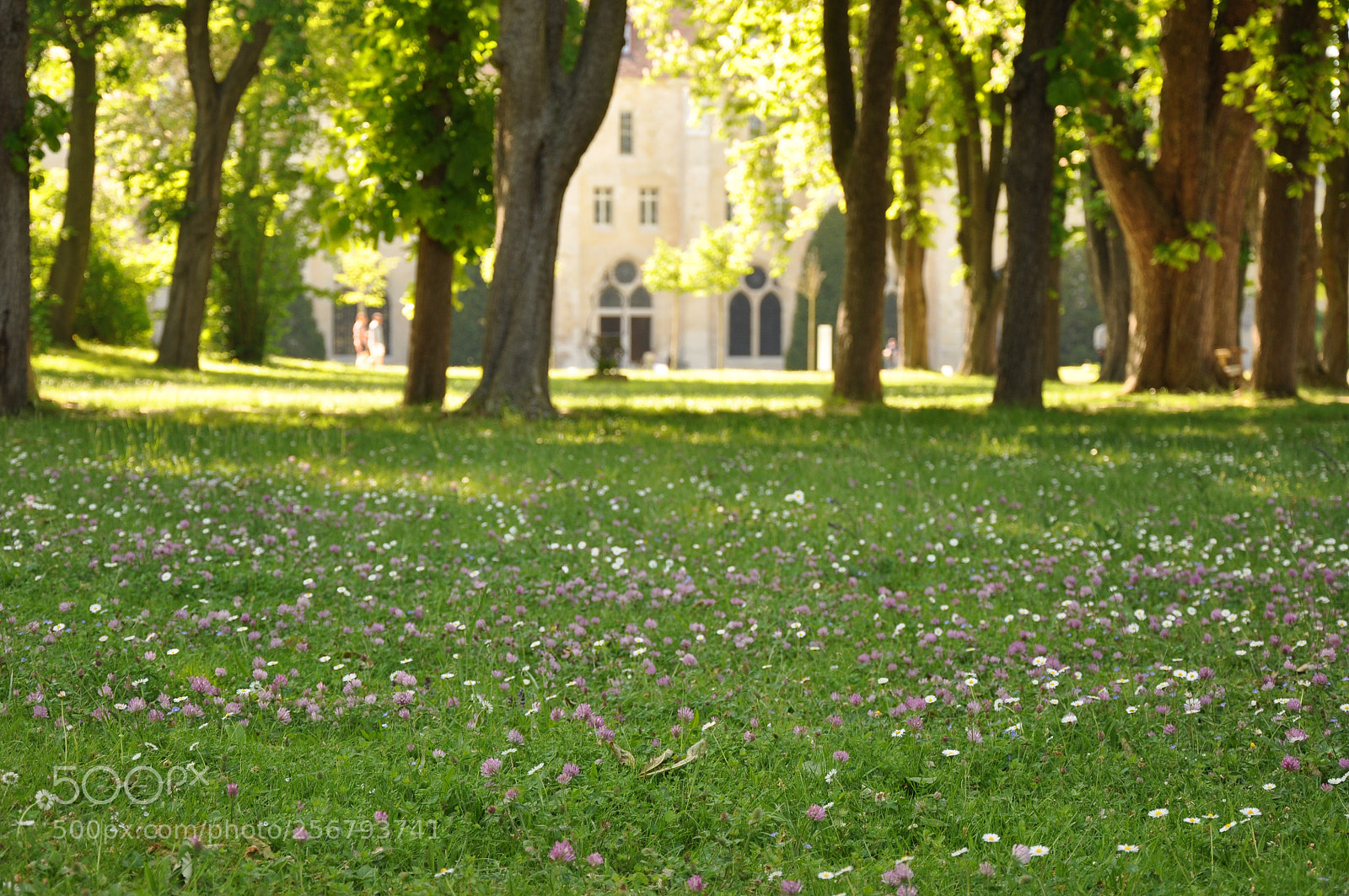 Nikon D90 sample photo. Balade en abbaye  photography